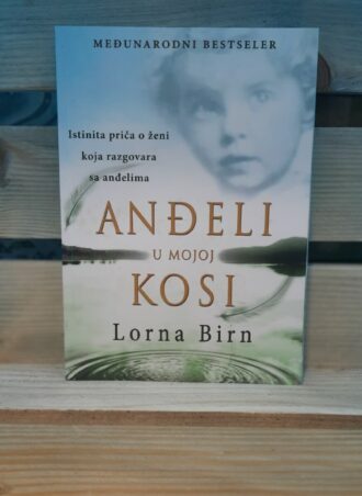 Anđeli u mojoj kosi - Lorna Birn