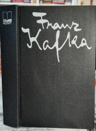 Dnevnici 1910 - 1913 Franc Kafka