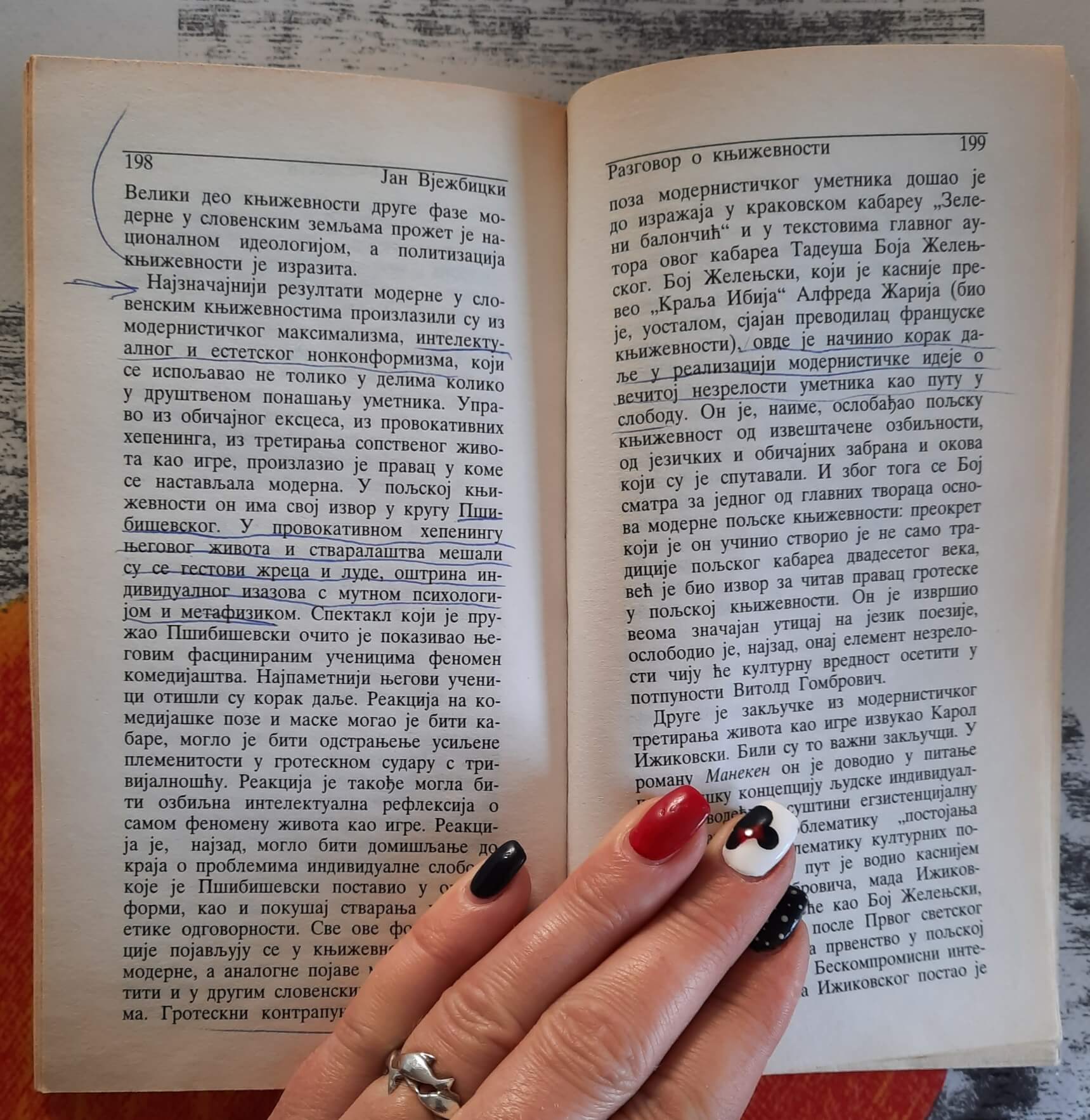 Razgovor o književnosti - Jan Vježbicki