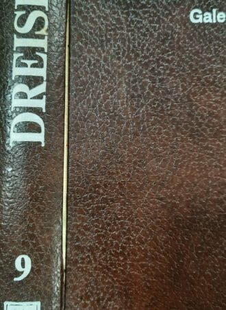 Galerija žena - Teodor Drajzer