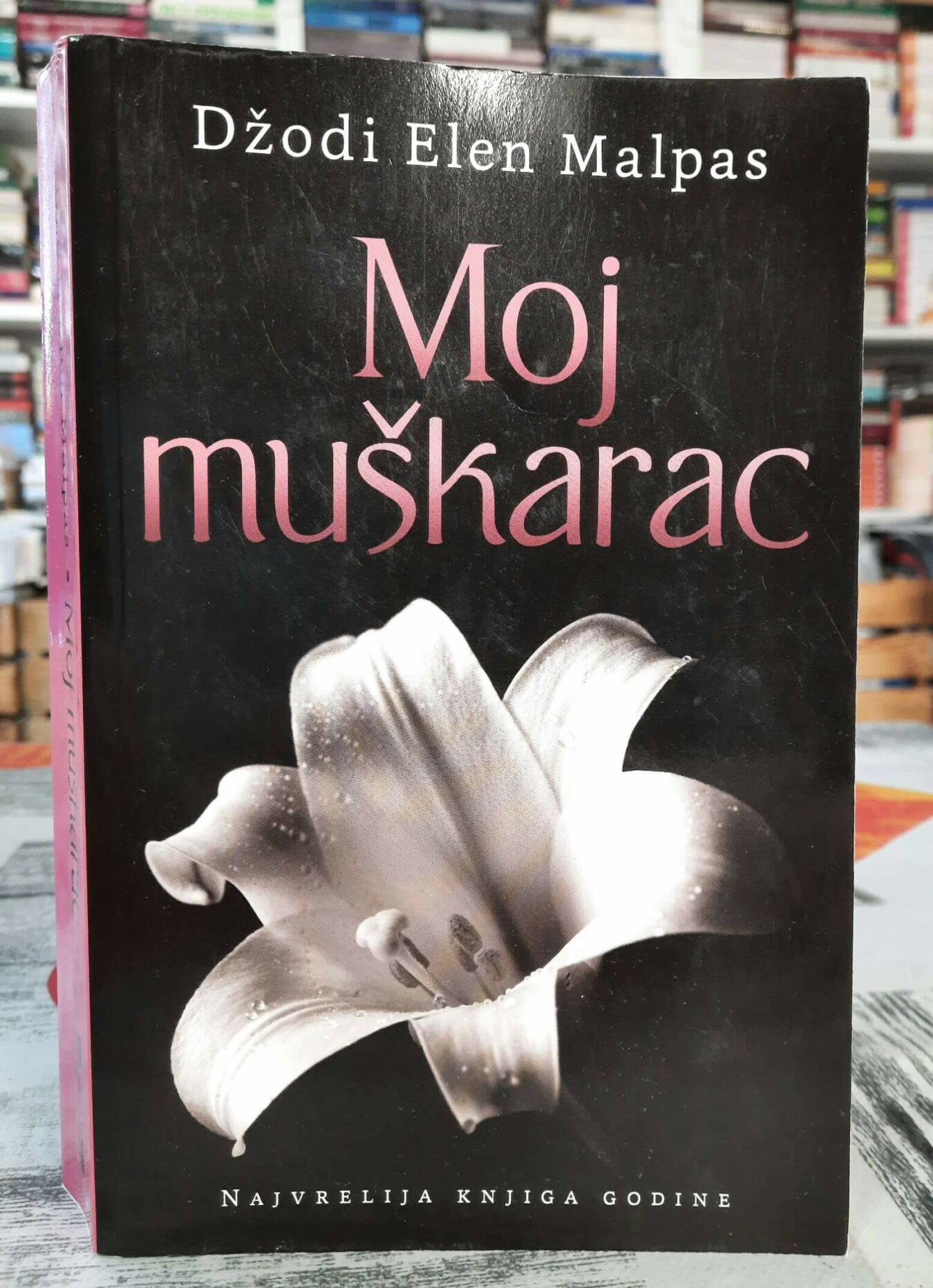 Moj muškarac - Džodi Elen Malpas