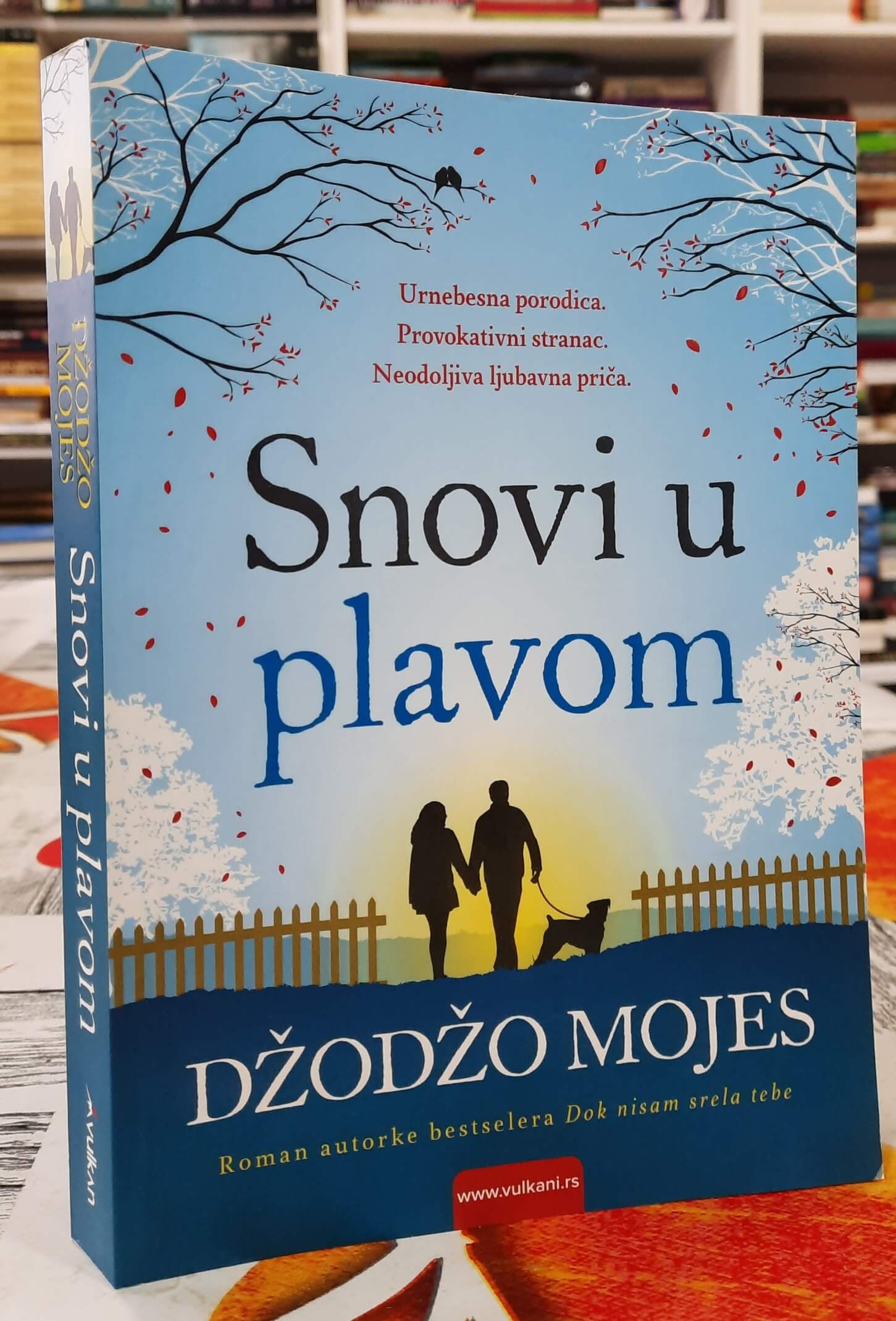 Snovi u plavom - Džodžo Mojes
