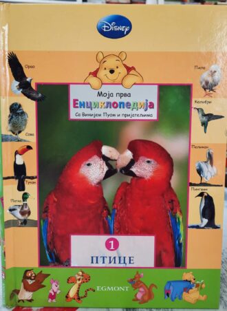 Ptice - Moja prva enciklopedija