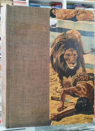 Tarzan i zlatni lav - Edgar Rice Burroughs