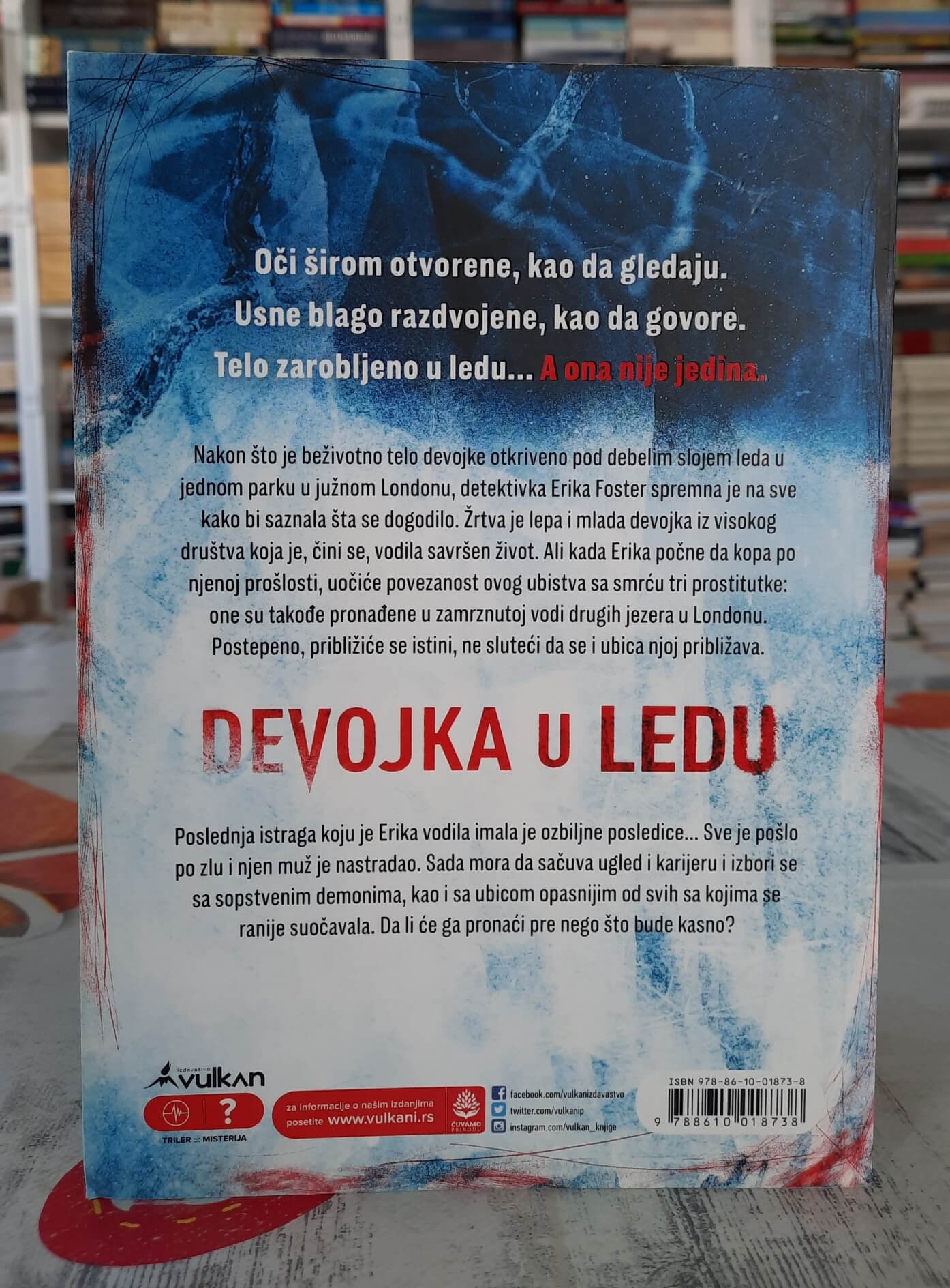 Devojka u ledu - Robert Brindza