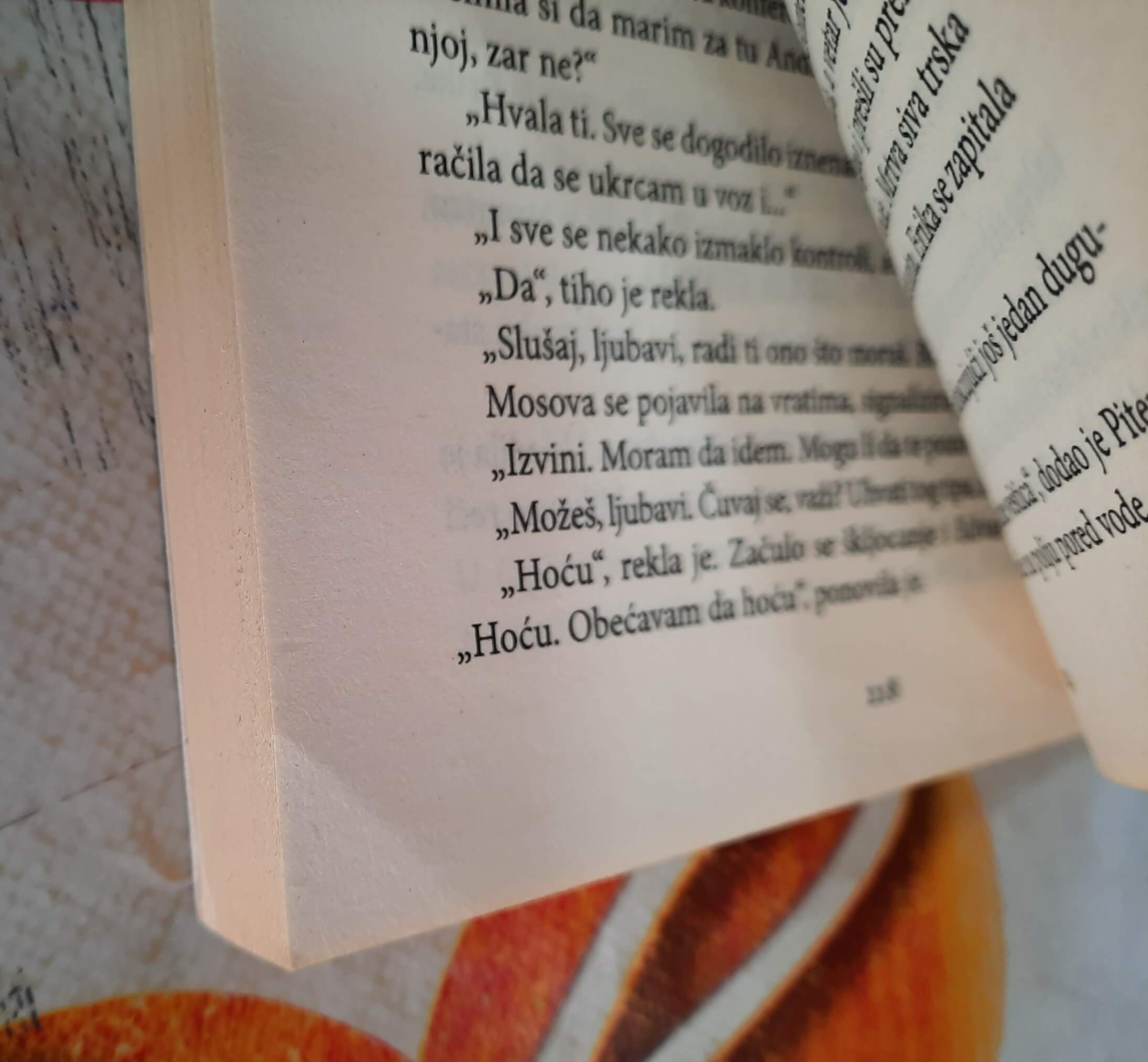 Devojka u ledu - Robert Brindza