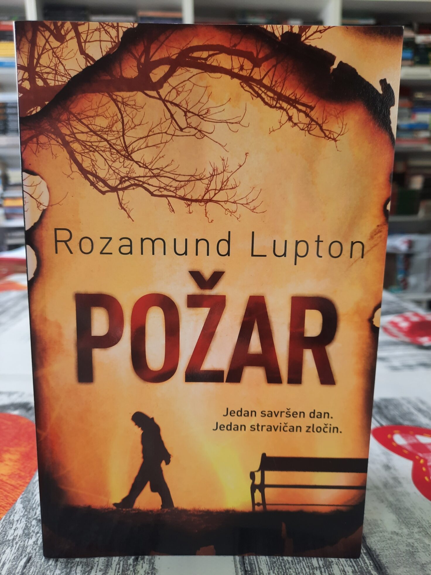 Požar - Rozamund Lupton