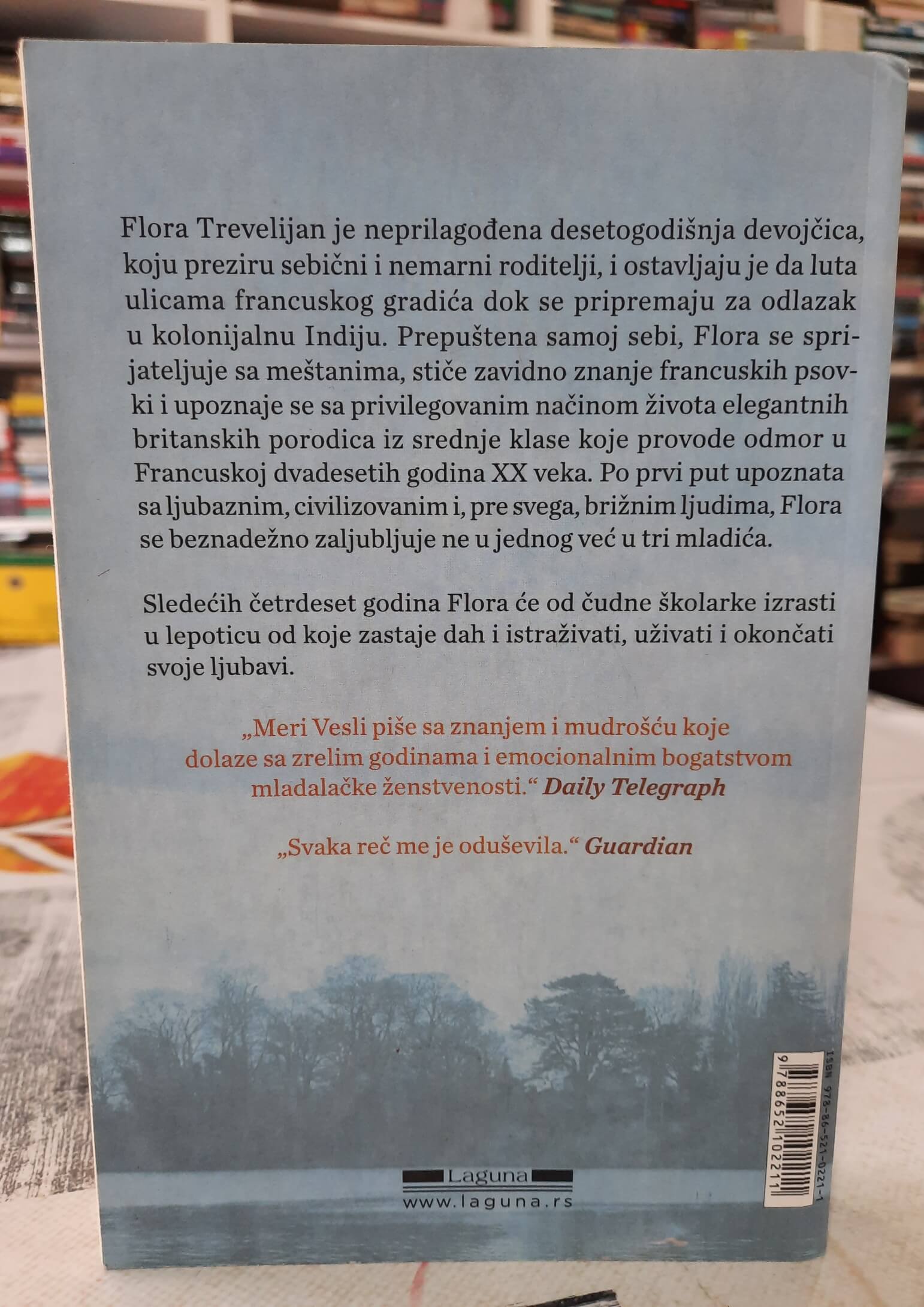 Život po meri - Meri Vesli