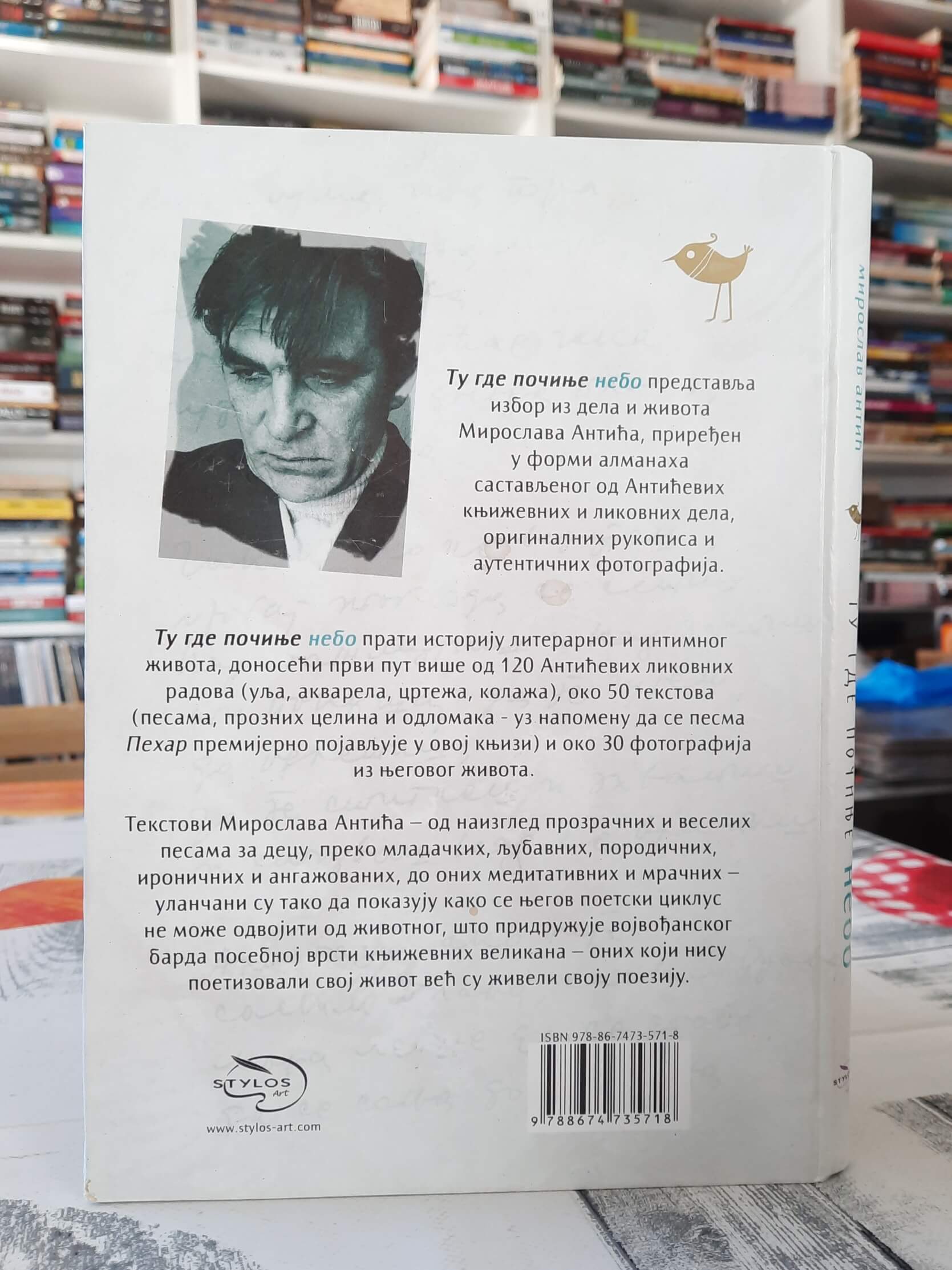 Tu gde počinje nebo - Miroslav Antić