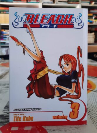 Bleach volume 3 Memoriesin the rain