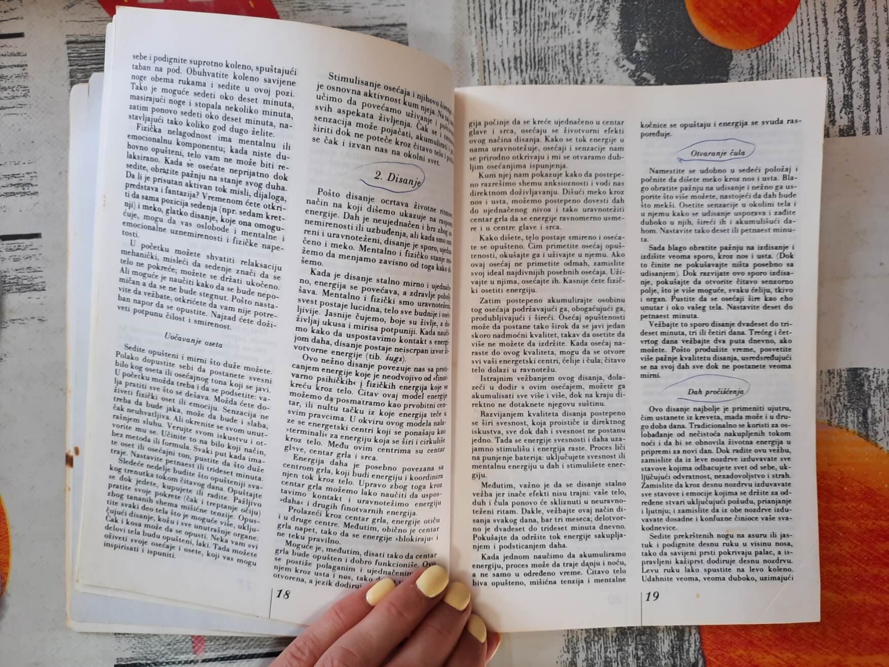 Kultura tela i borbene veštine - Dušan Pajin i Mirko Gaspari