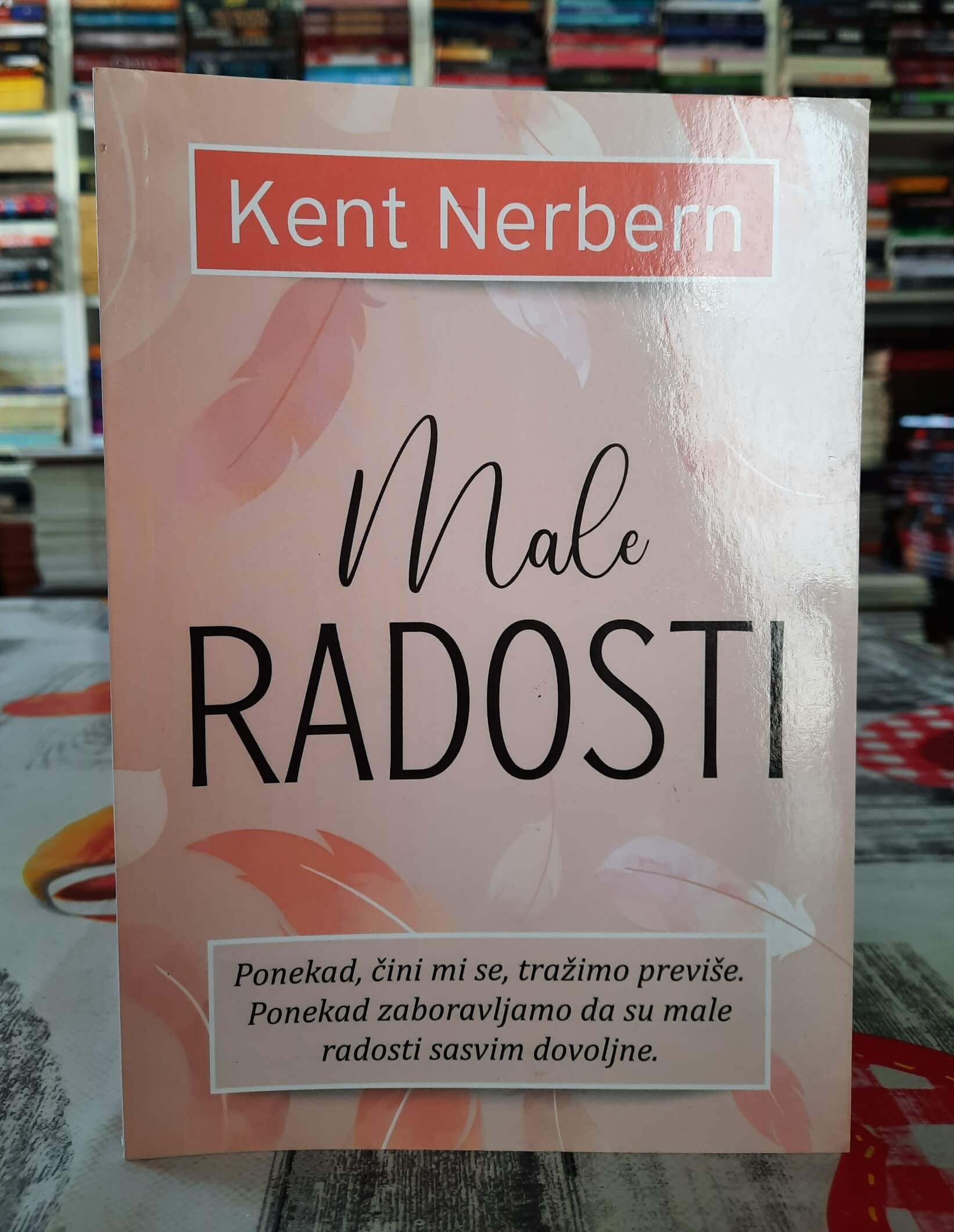 Male radosti - Kent Nerbern
