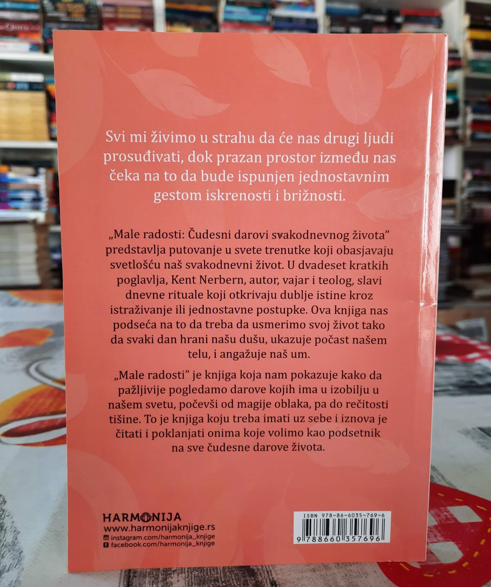 Male radosti - Kent Nerbern