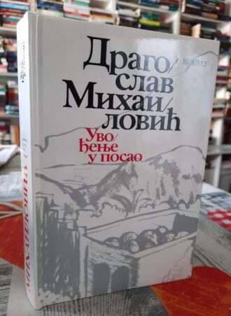 Uvođenje u posao - Dragoslav Mihailović