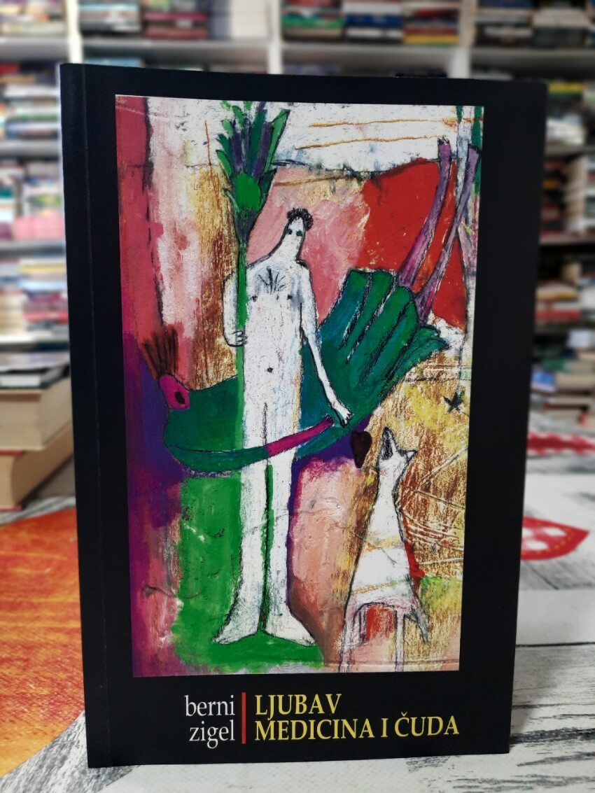 Ljubav medicina i čuda - Berni Zigel
