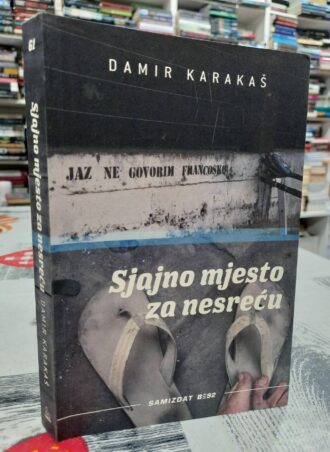 Sjajno mjesto za nesreću - Damir Karakaš