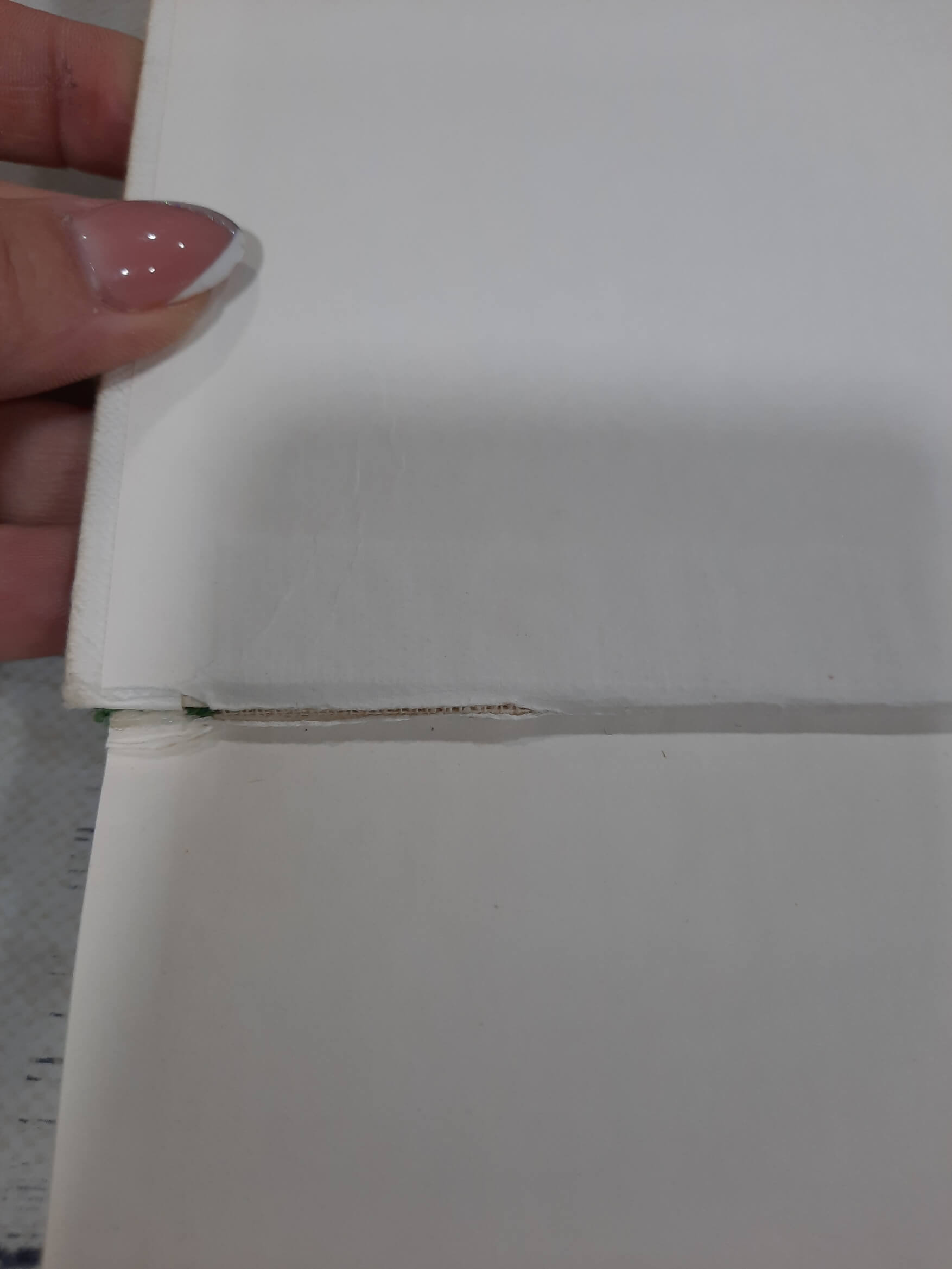 Vratimo se prirodi - Maurice Messegue