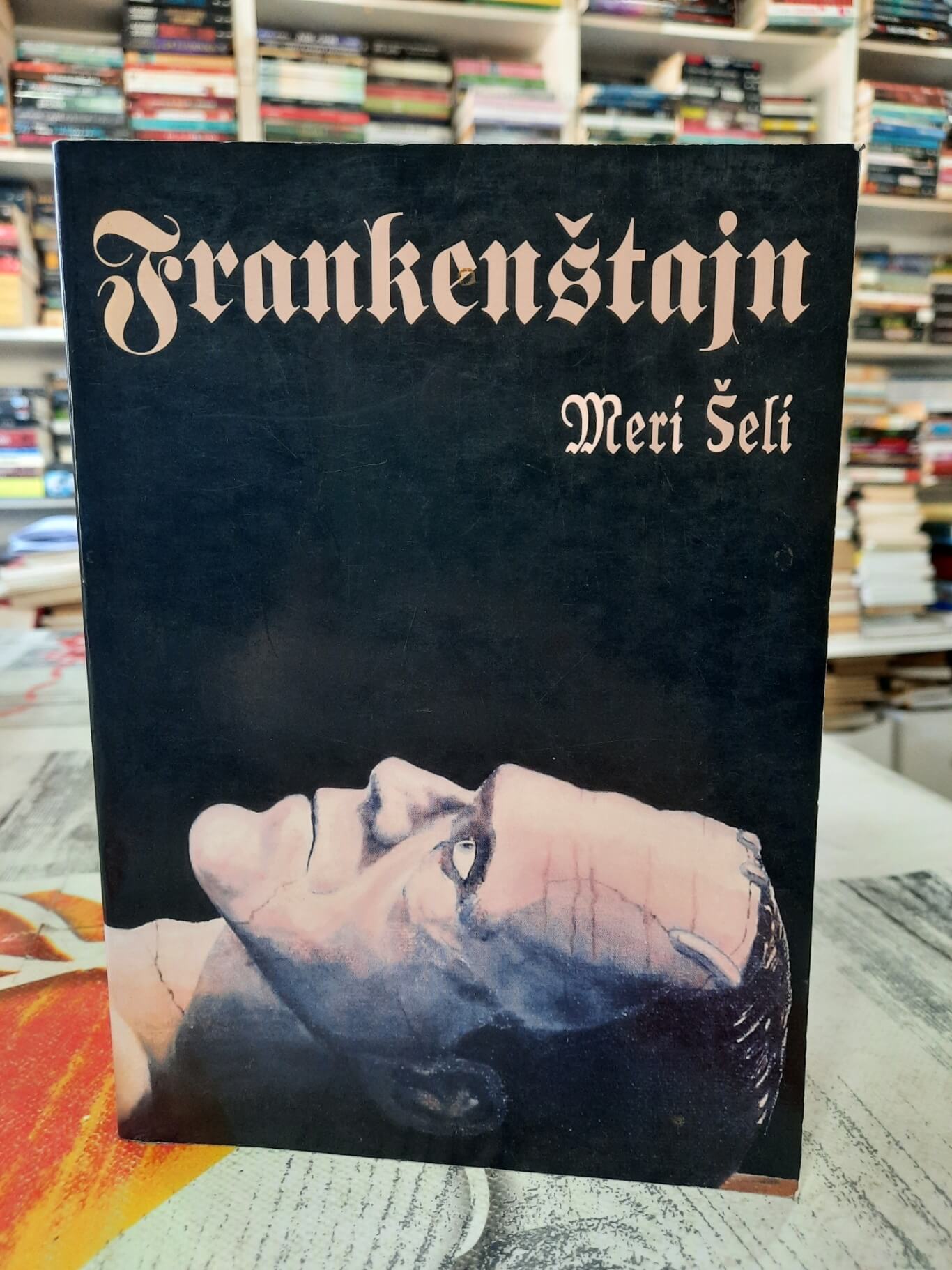 Frankenštajn - Meri Šeli