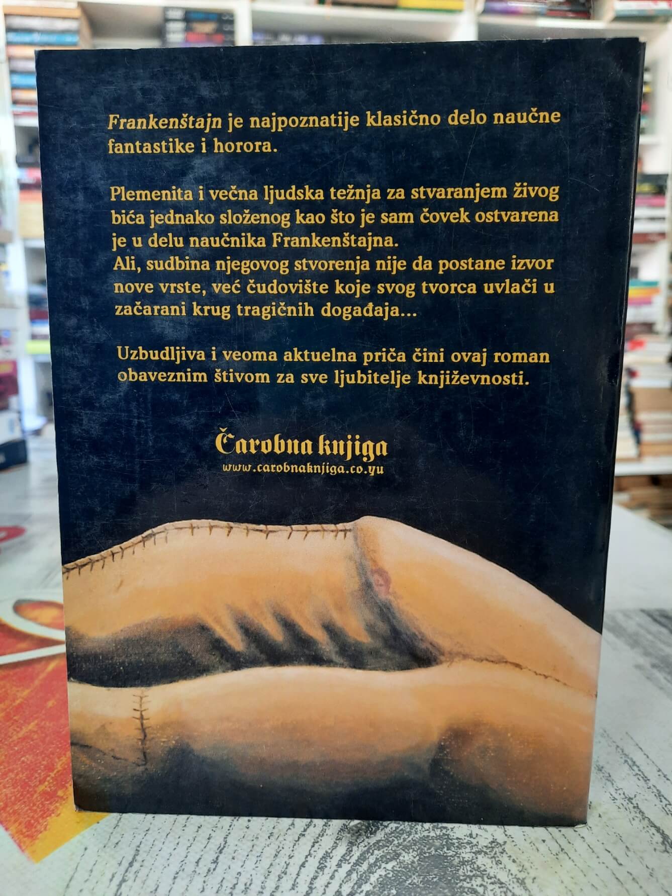 Frankenštajn - Meri Šeli