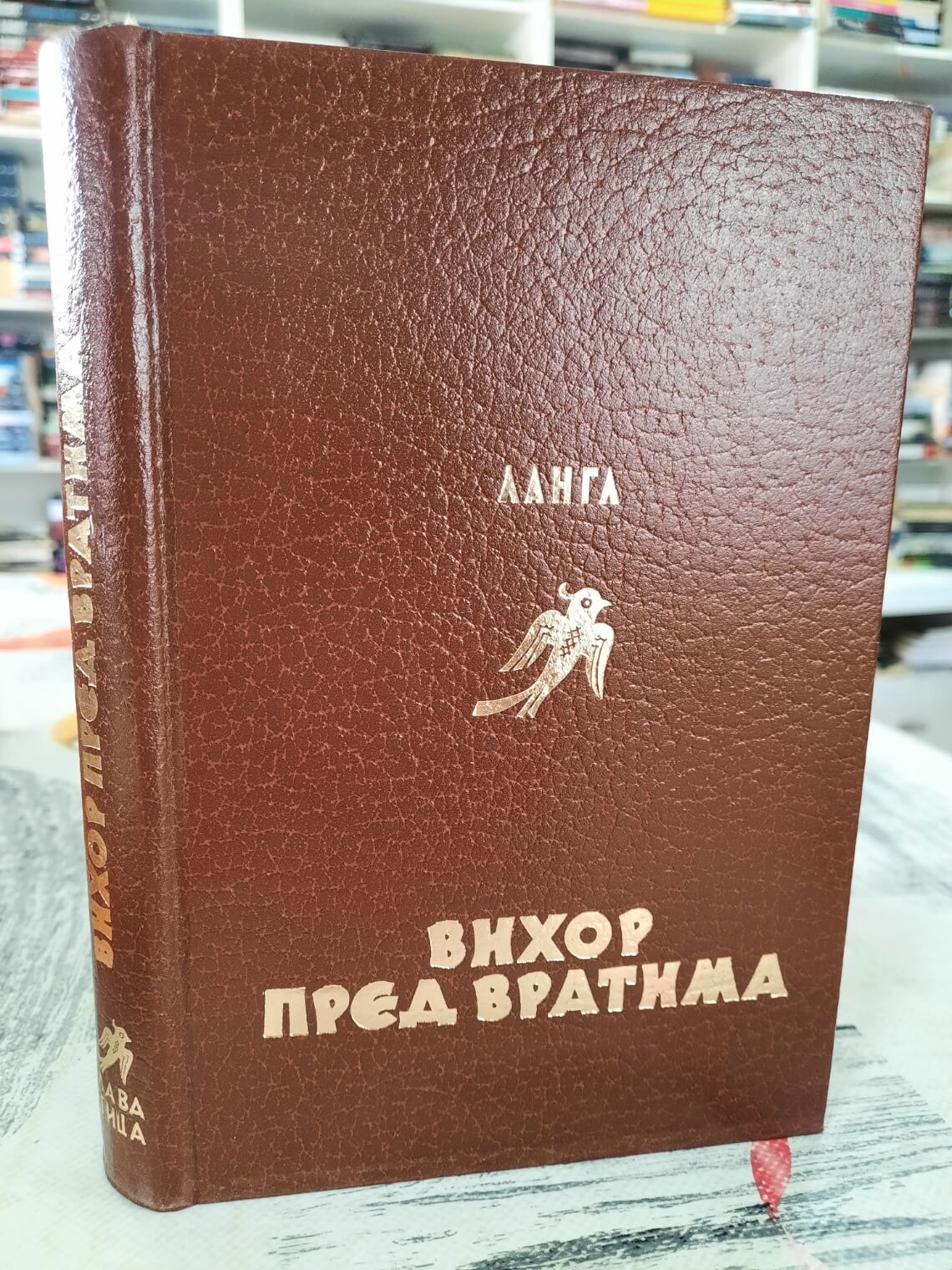 Vihor pred vratima - Madlen Langl