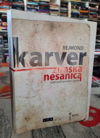 Zimska nesanica - Rejmond Karver