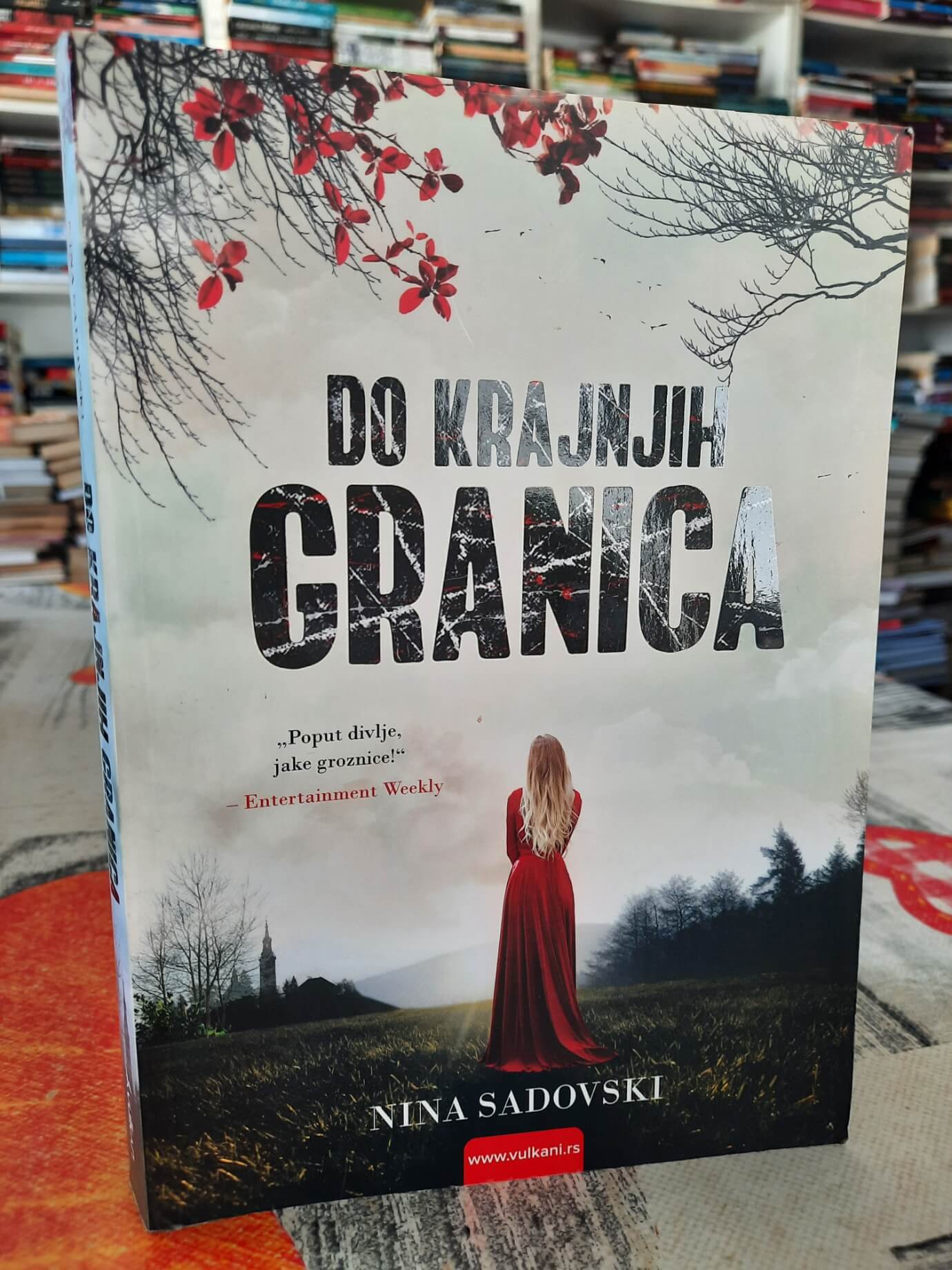 Do krajnjih granica - Nina Sadovski