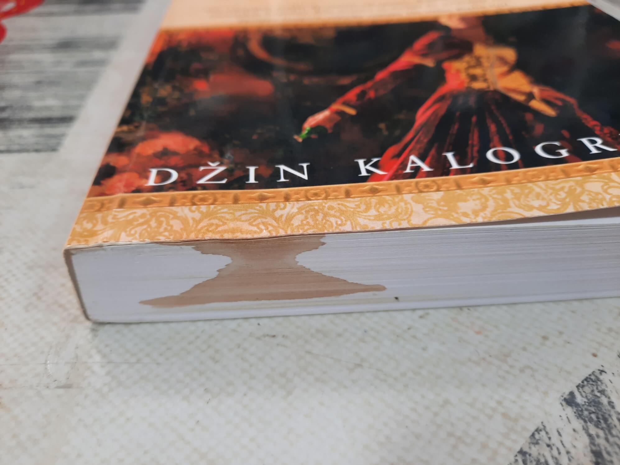 Žena jednog Bordžije - Džin Kalogridis