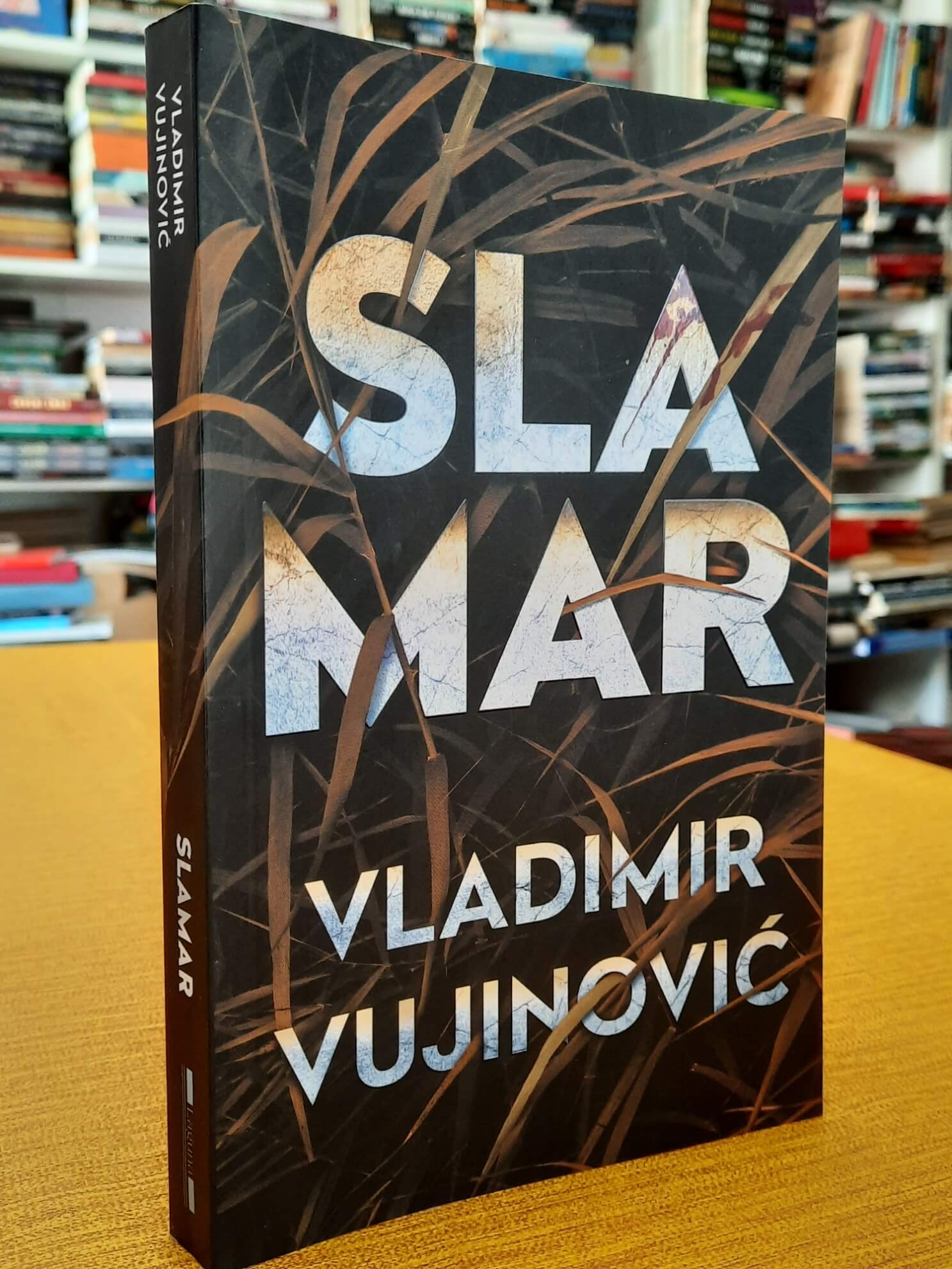 Slamar - Vladimir Vujinović