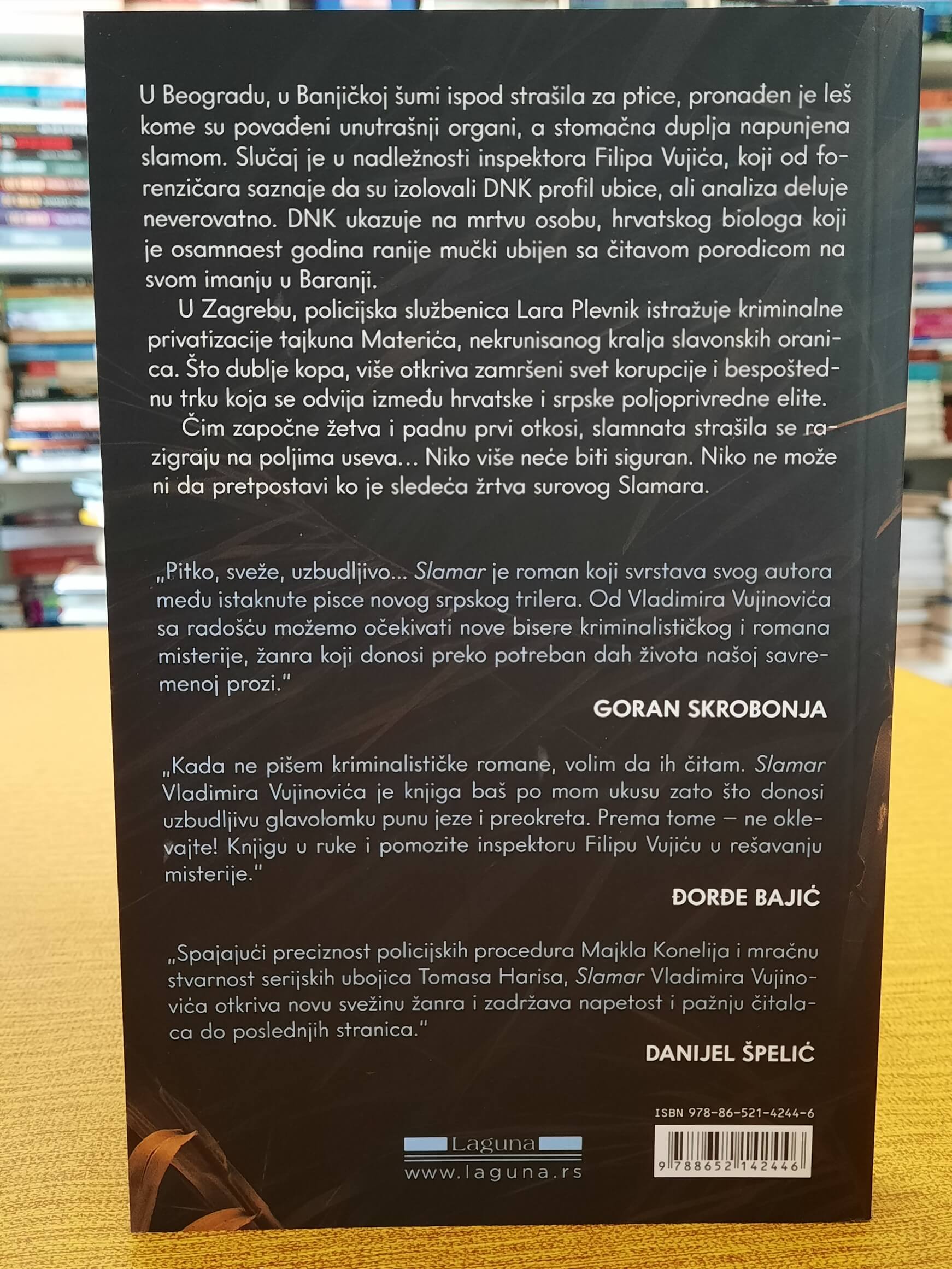 Slamar - Vladimir Vujinović