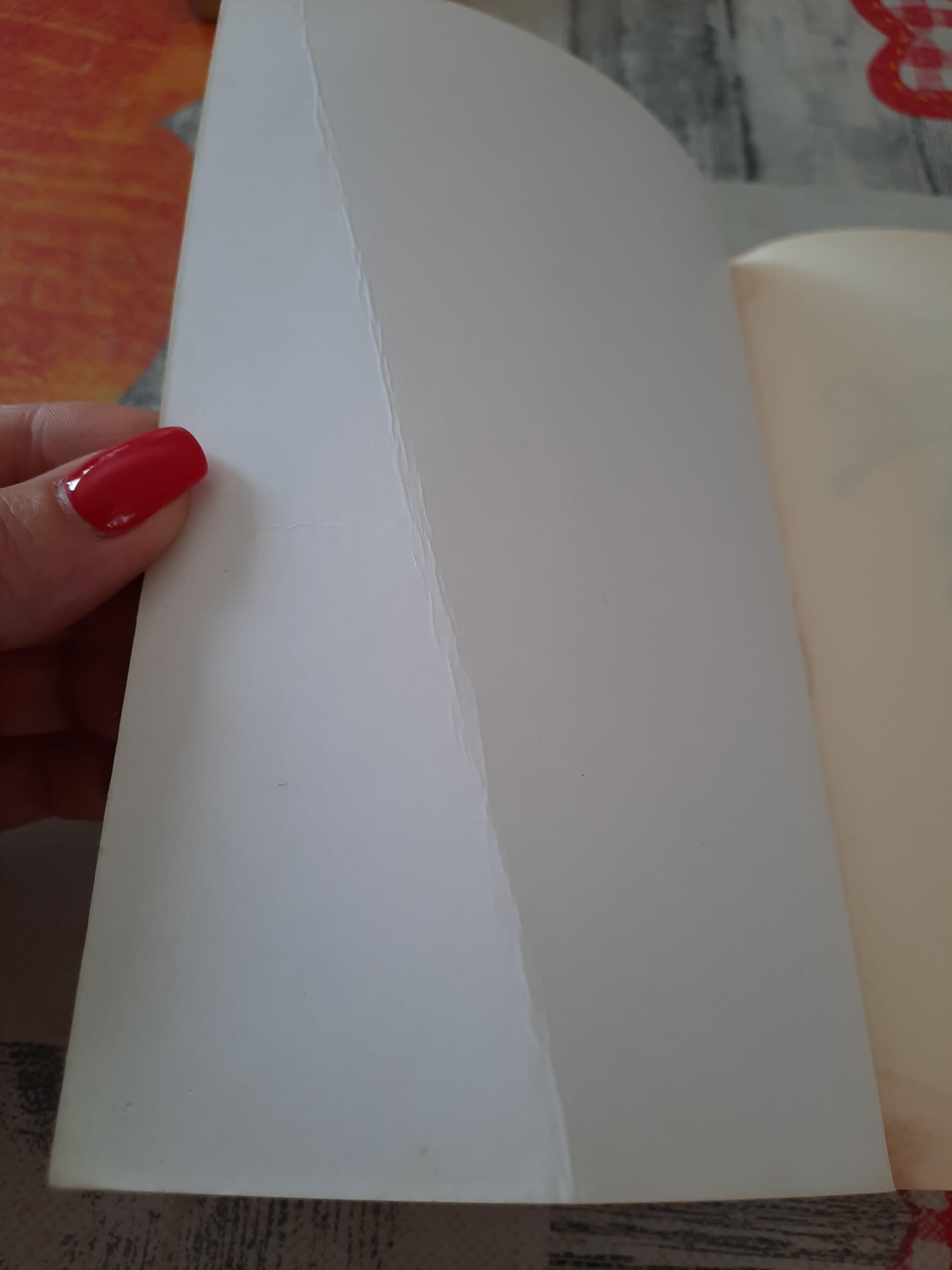 Viktorija Švab - Smrtonosna pesma, Naš mračni duet