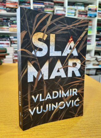 Slamar - Vladimir Vujinović