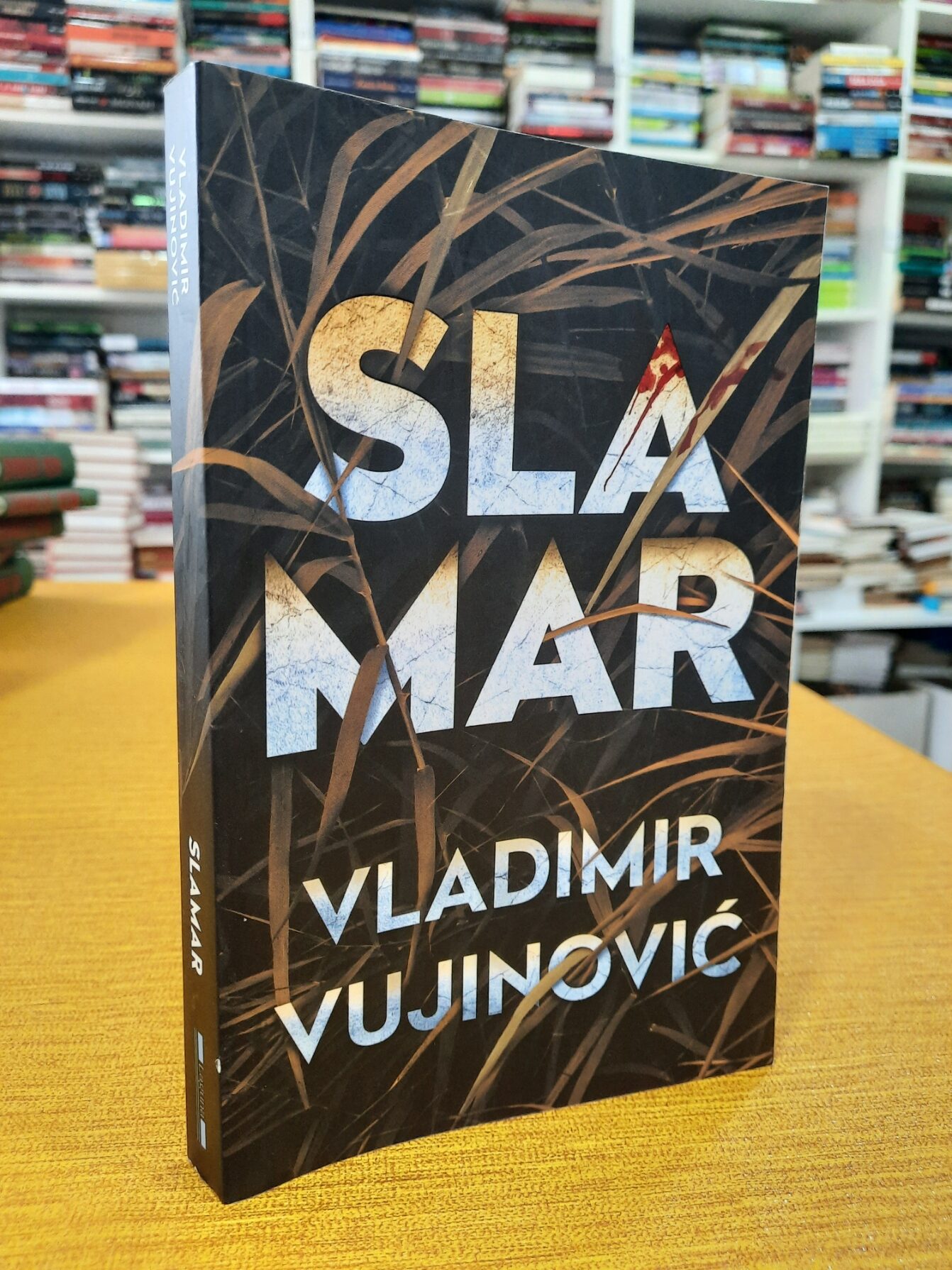 Slamar - Vladimir Vujinović
