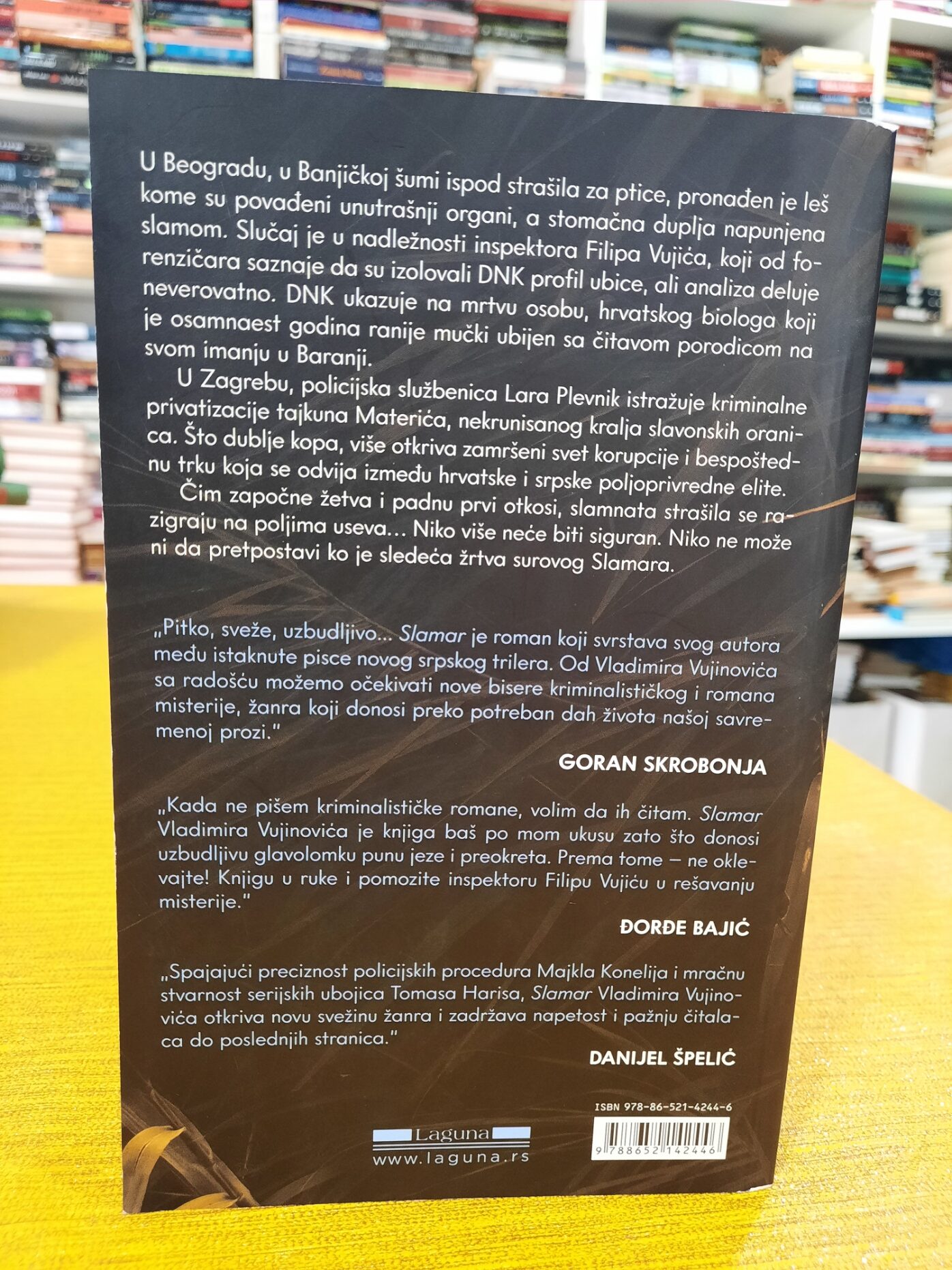 Slamar - Vladimir Vujinović
