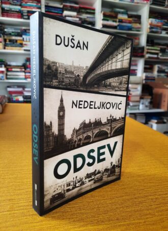 Odsev - Dušan Nedeljković