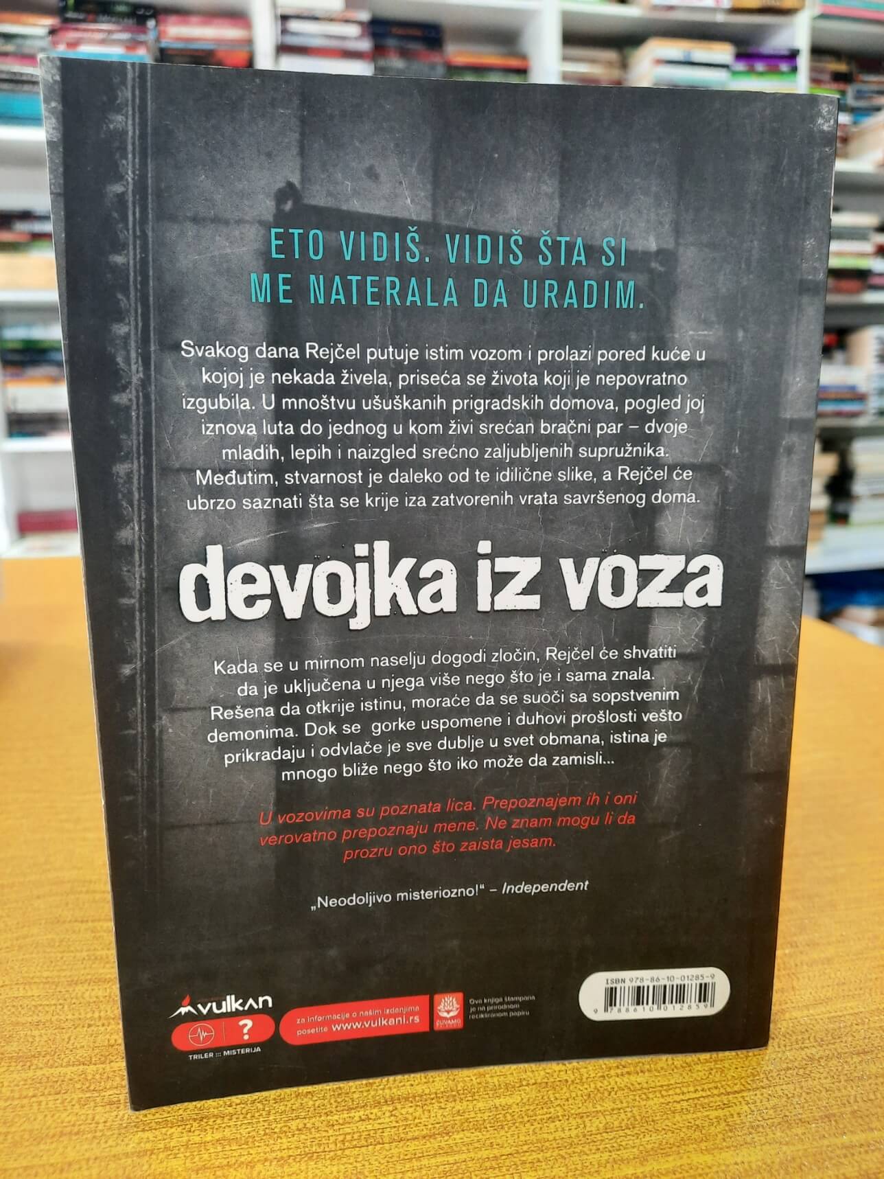 Devojka iz voza - Pola Hokins