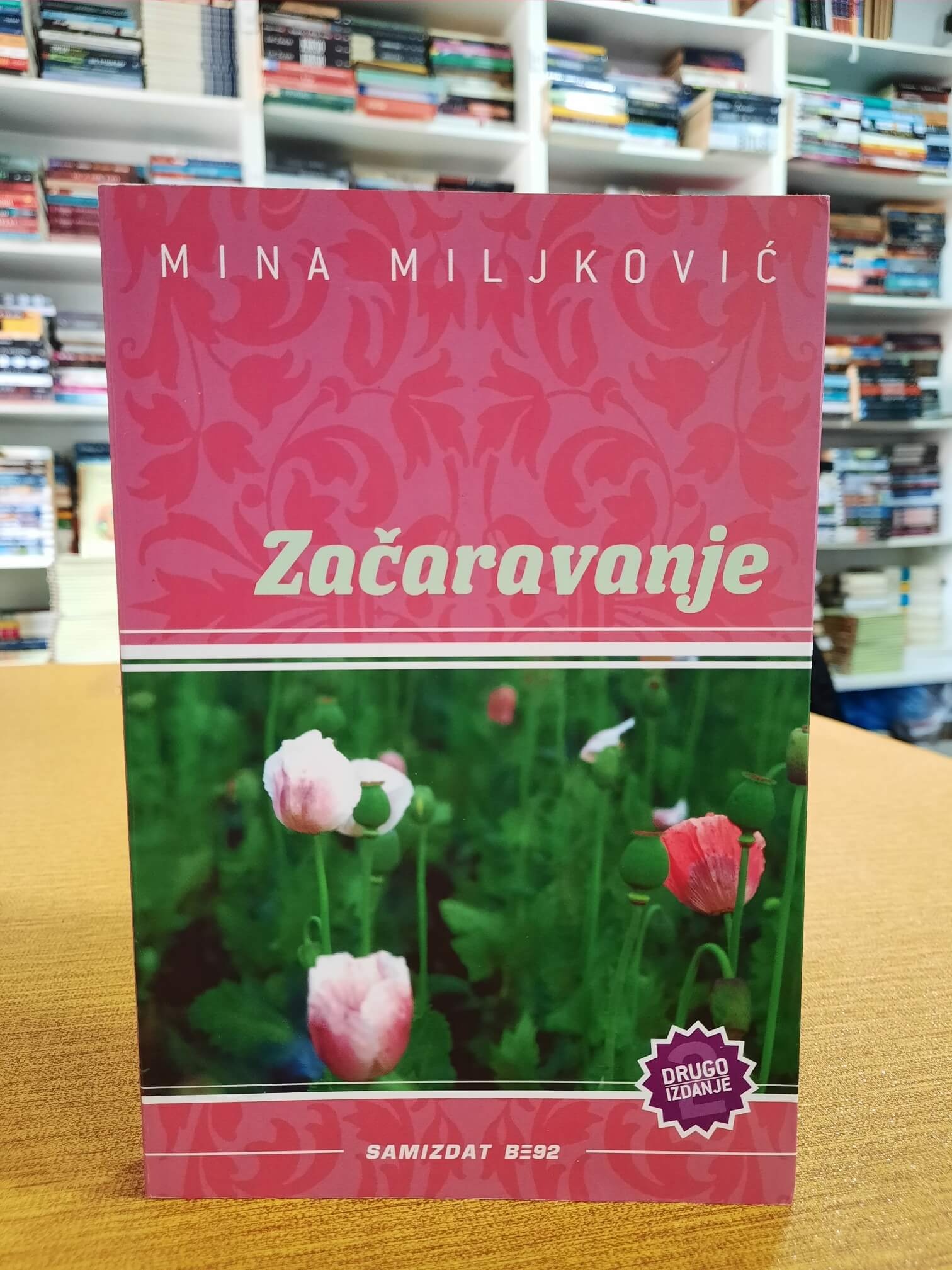Začaravanje - Mina Miljković