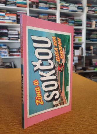 Zima u Sokčou - Eliza Sua Disapen