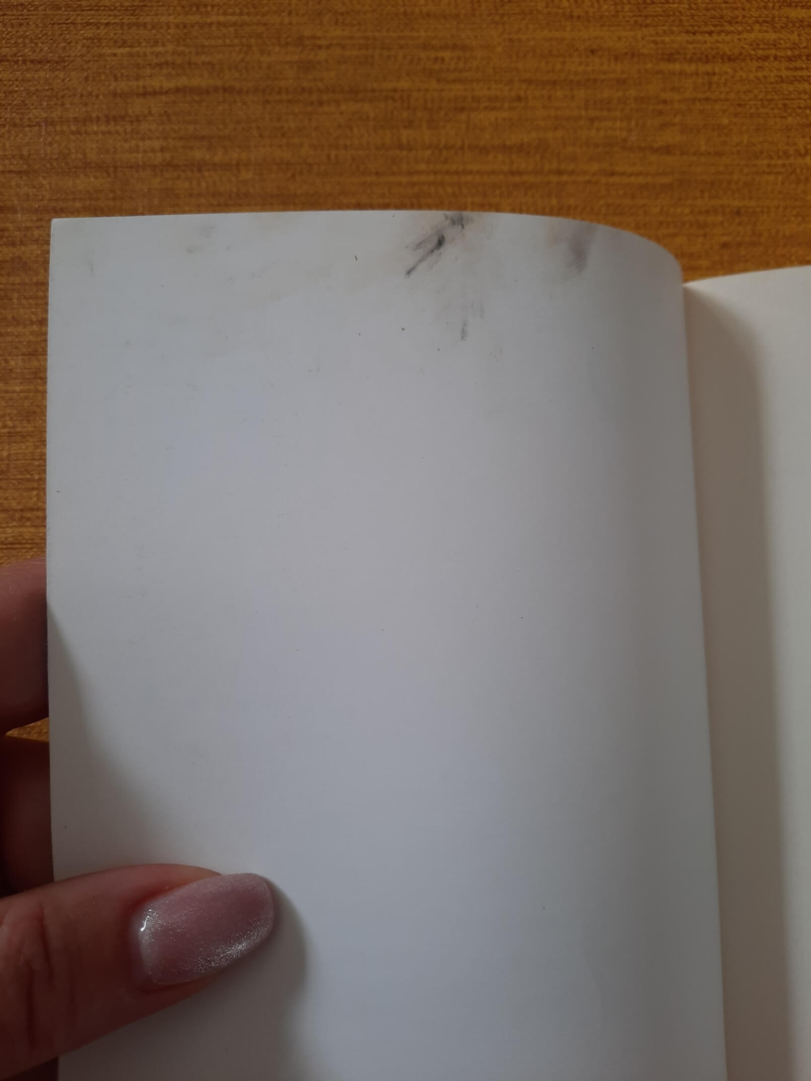 Vizantizam i slovenstvo - Konstantin Leontjev