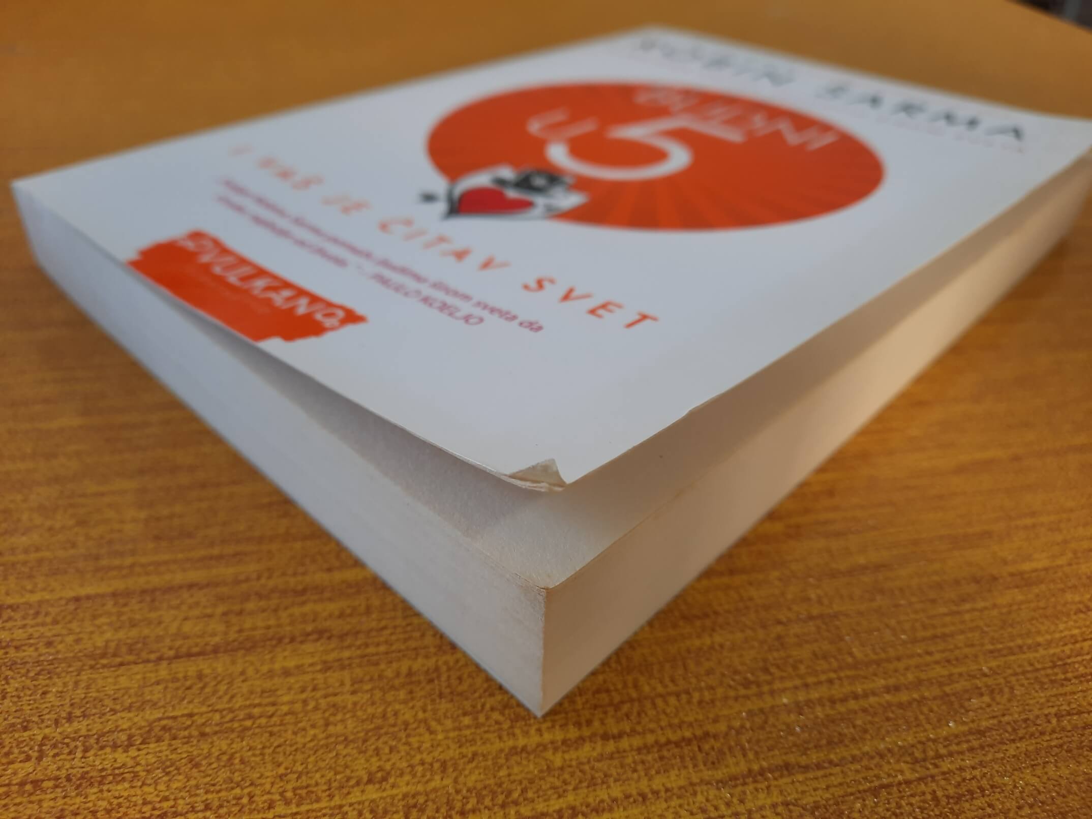 Budni u 5 - Robin Šarma