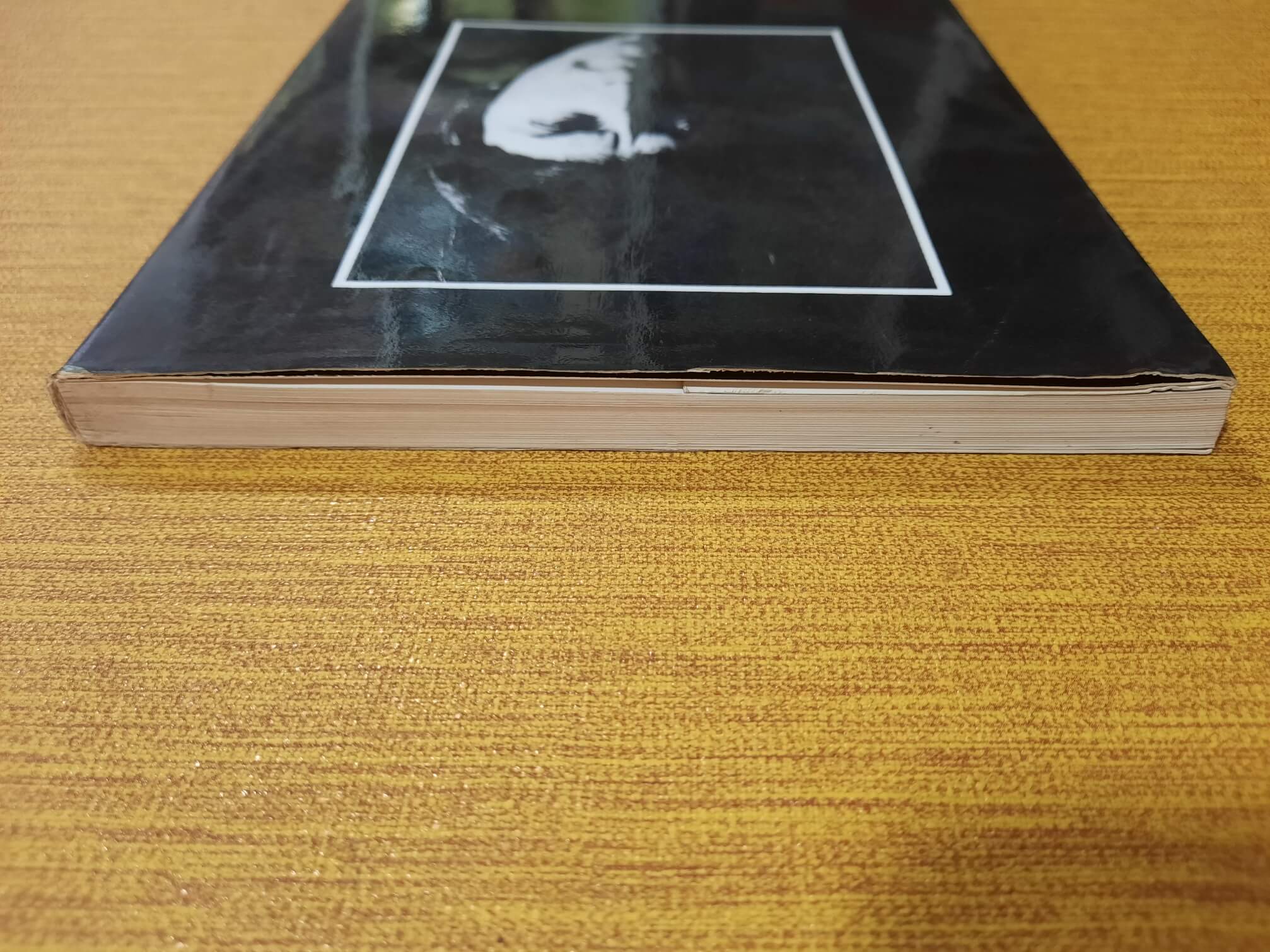 Preživeo - Džejms Herbert