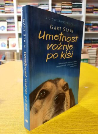 Umetnost vožnje po kiši - Gart Stajn