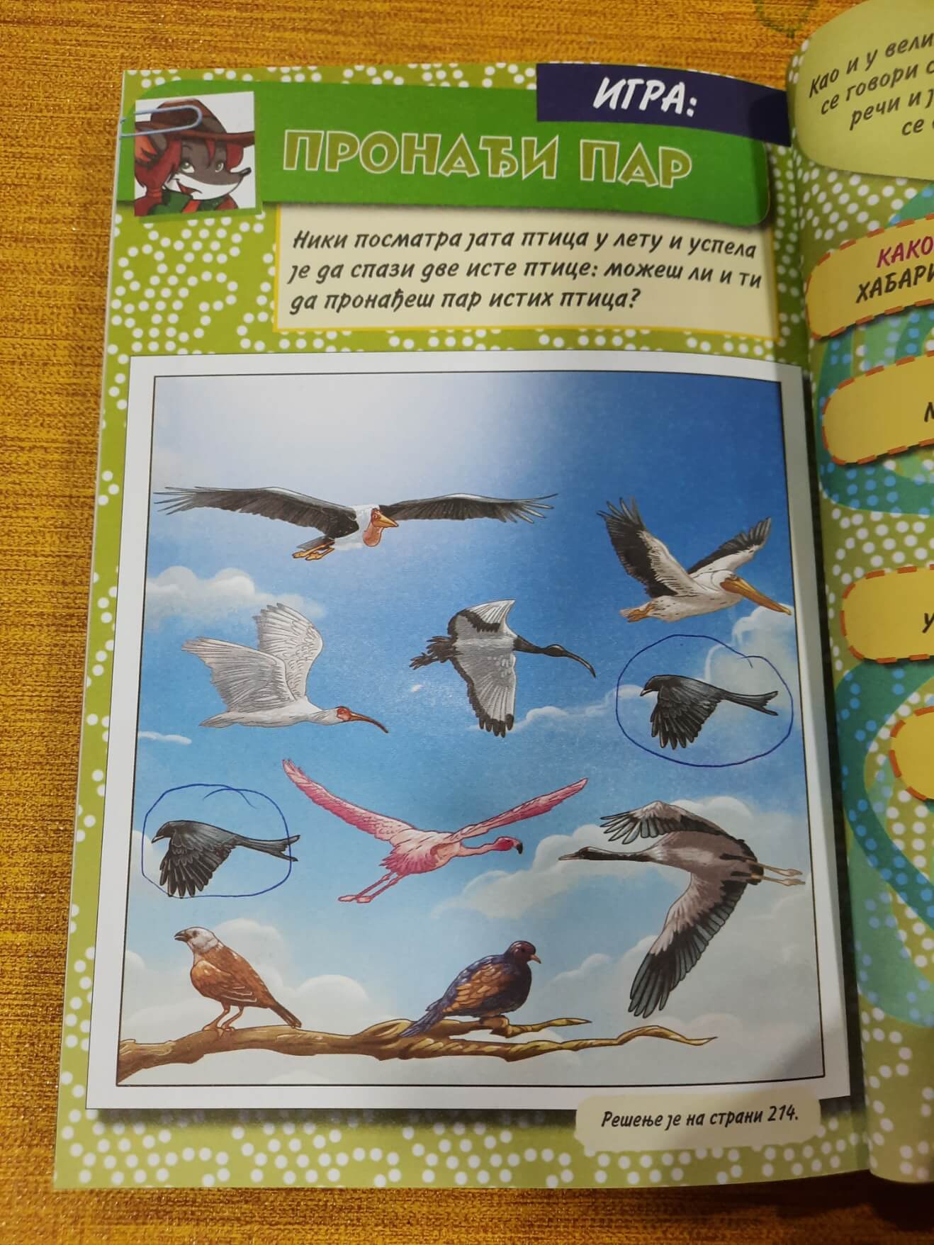 Tea Stilton Safari pun opasnosti