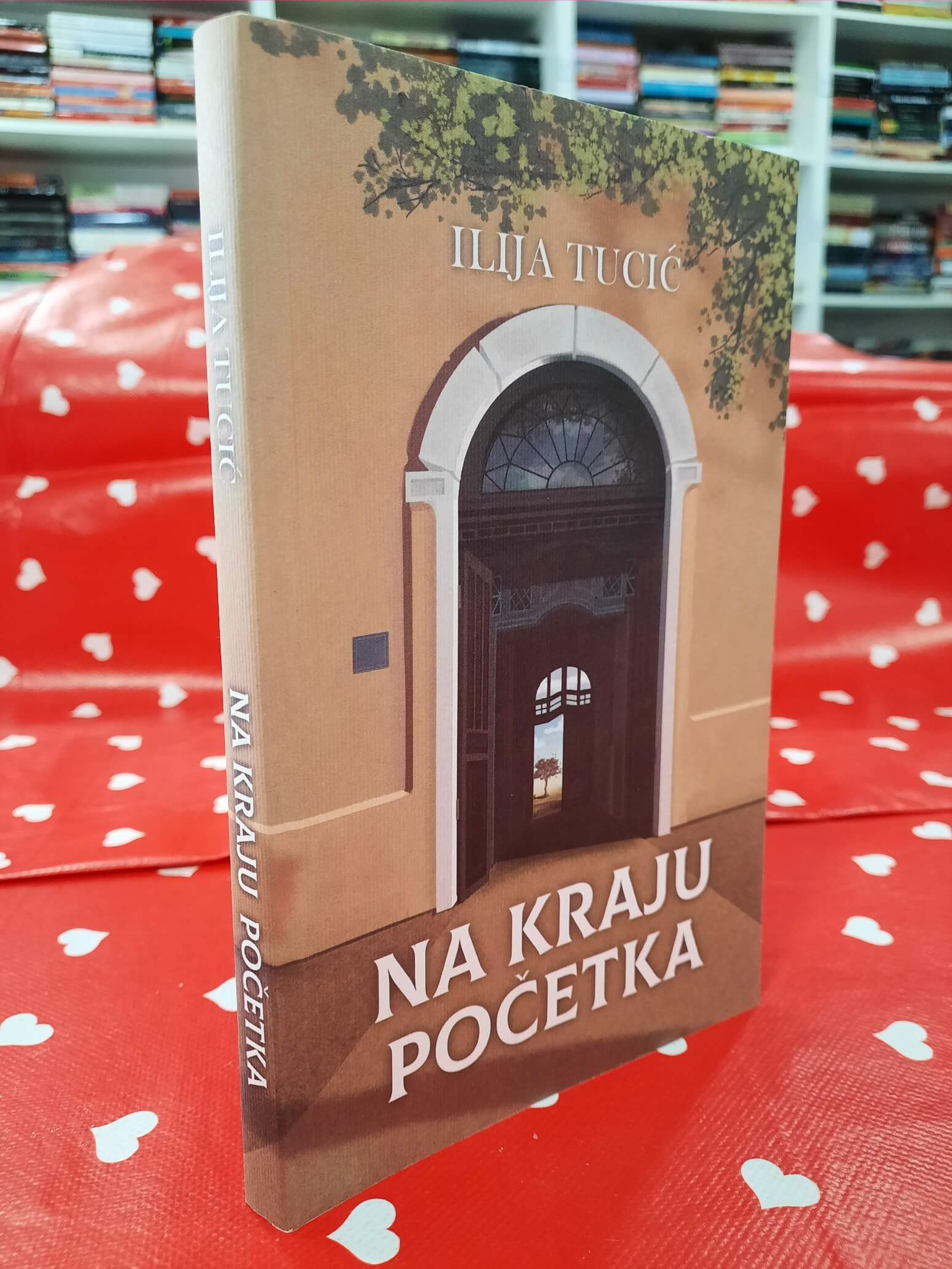 Na kraju početka - Ilija Tucić