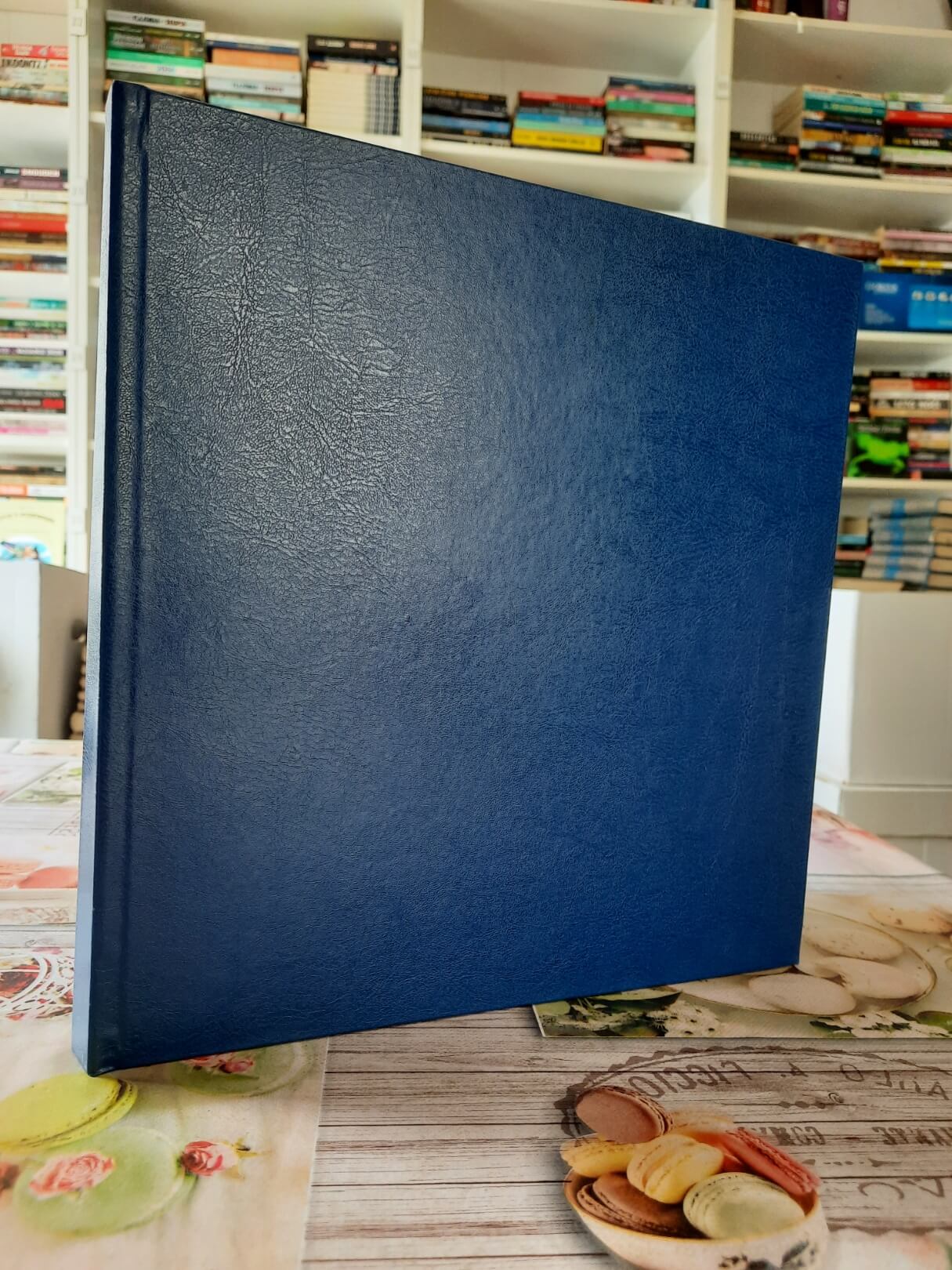 In Belgrade`s embrace - Zoran Radovanov sa zaštitnom kutijom