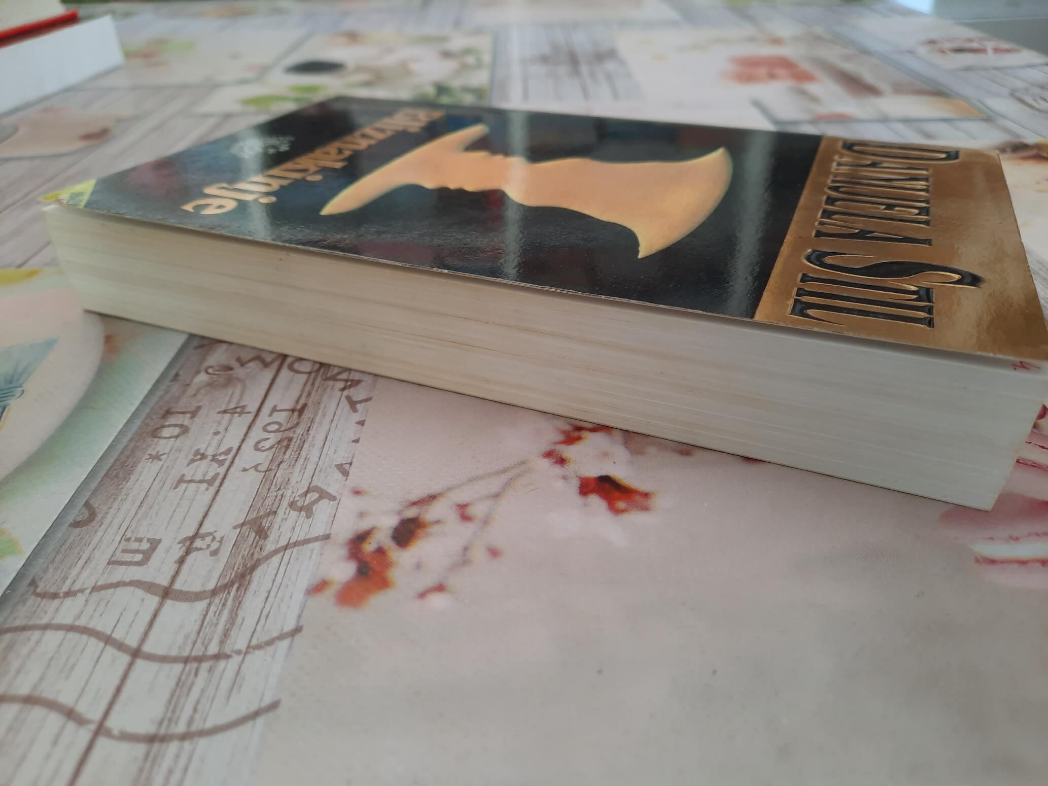 Bliznakinje - Danijela Stil