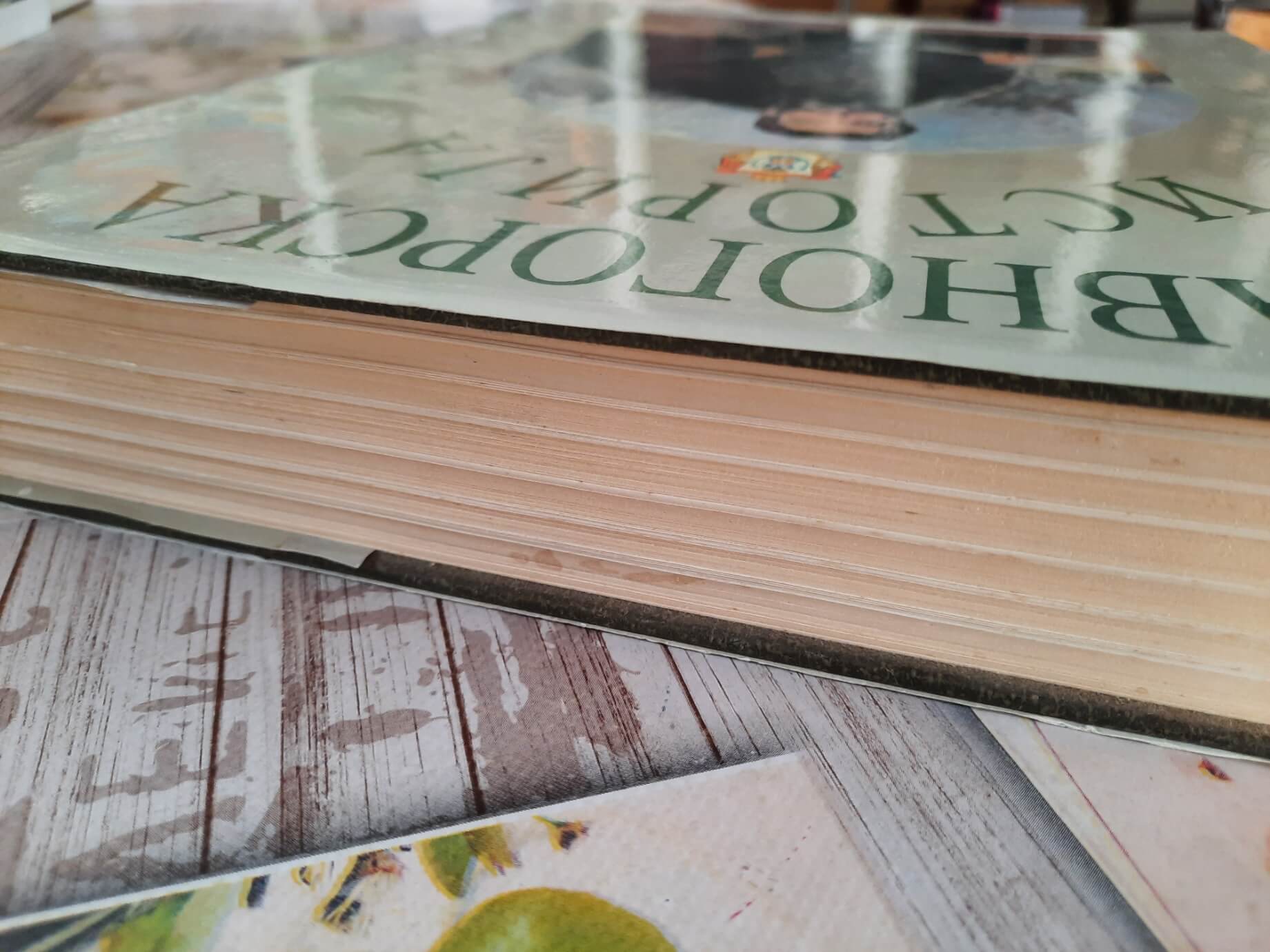 Ravnogorska istorija - Radovan Kalabić 2