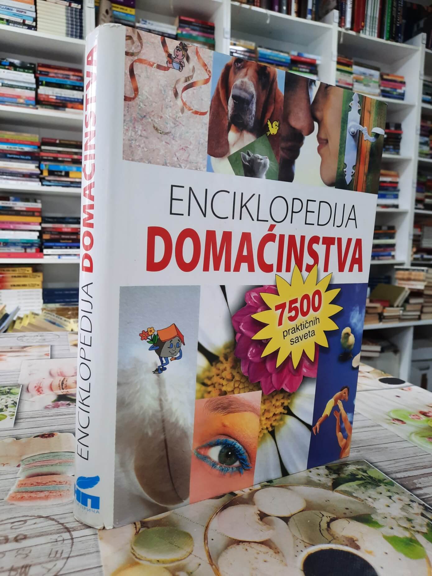 Enciklopedija domaćinstva