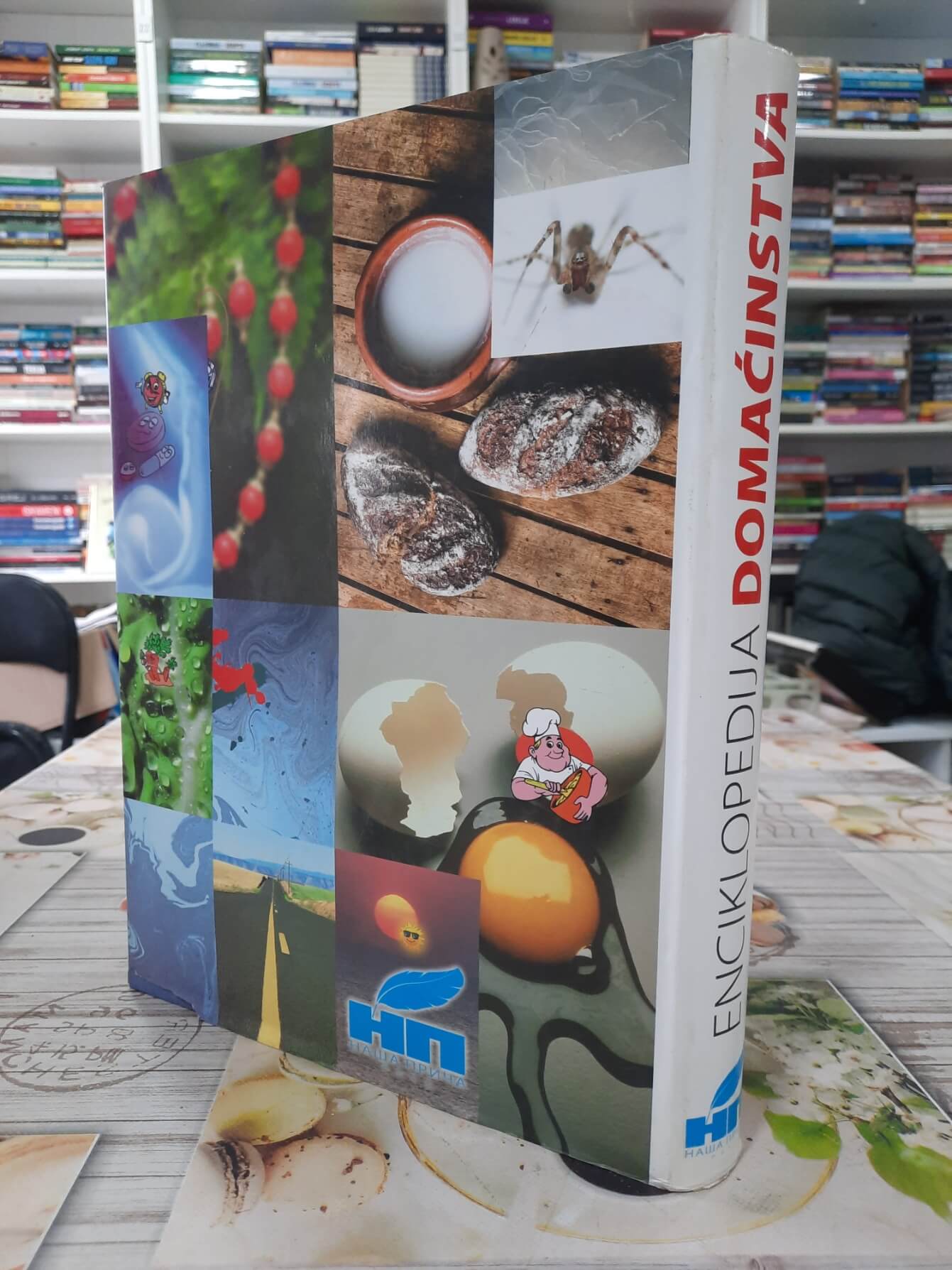 Enciklopedija domaćinstva