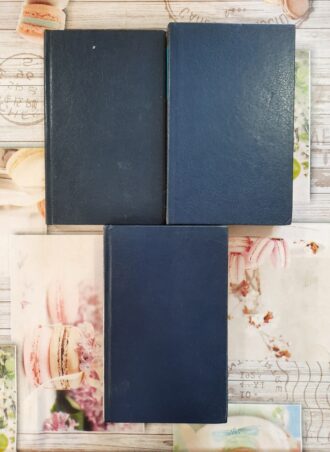 Seobe 1 - 3 Miloš Crnjanski