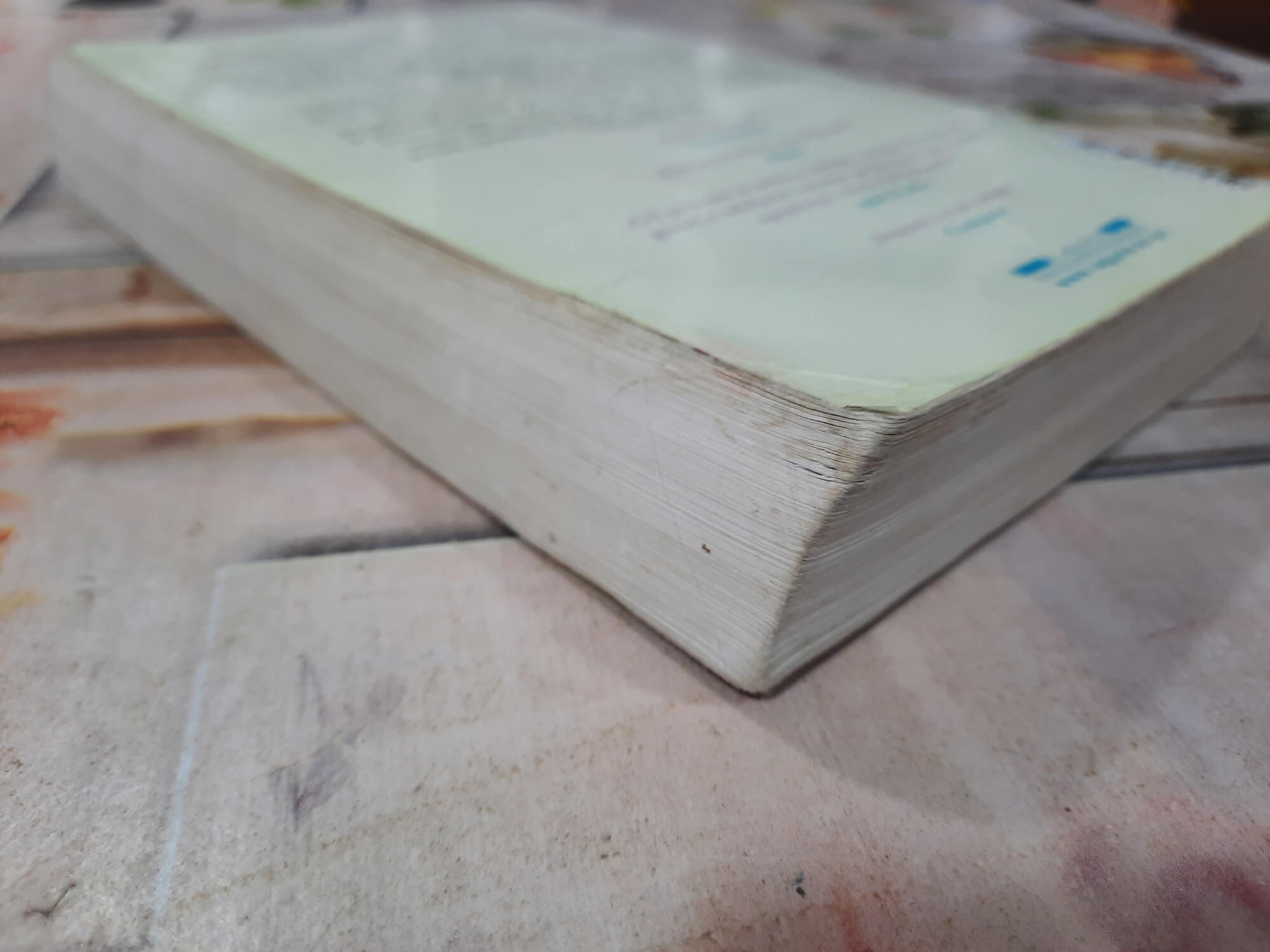 Ćerka moje najbolje prijateljice - Doroti Kumson